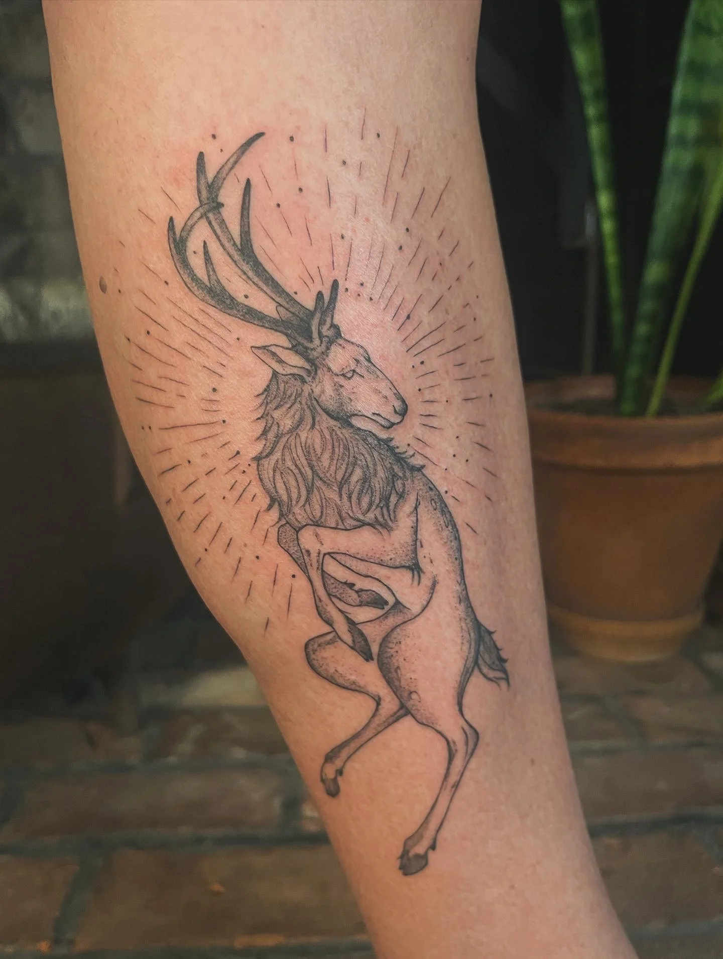 Tattoo of a stylized deer's head and upper body with large antlers, drawn in a black ink sketch style, with radiating lines behind it and small dots around.