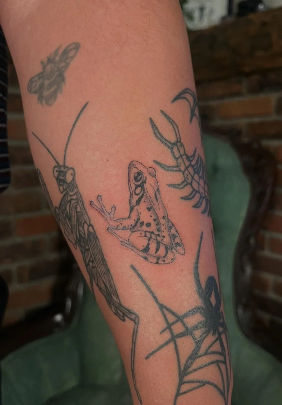 Tattoo on arm featuring a frog, a scorpion, a butterfly, a bee, and a spider web.