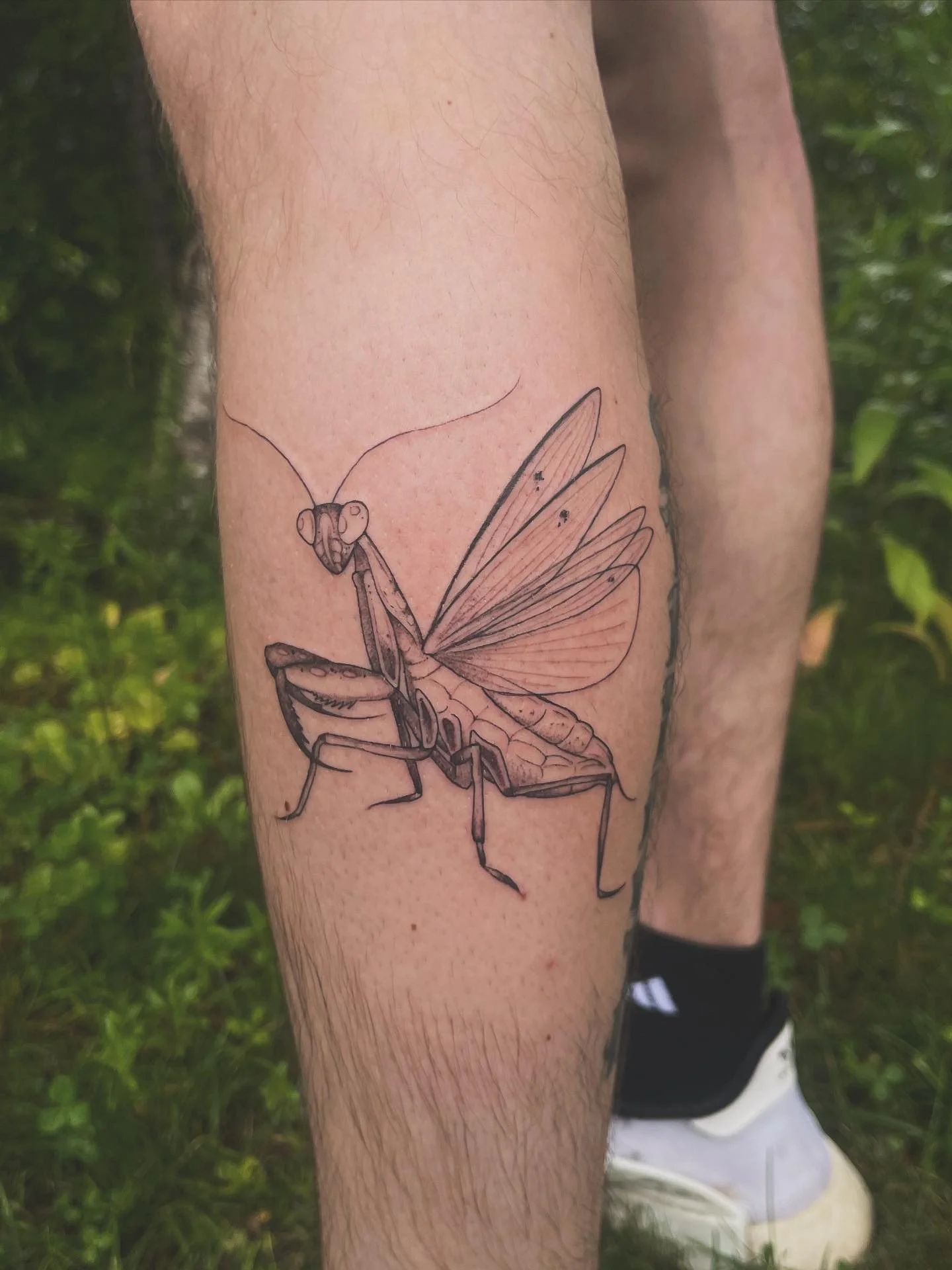 Tattoo of a praying mantis on a person's leg, with detailed line work and insect wings.