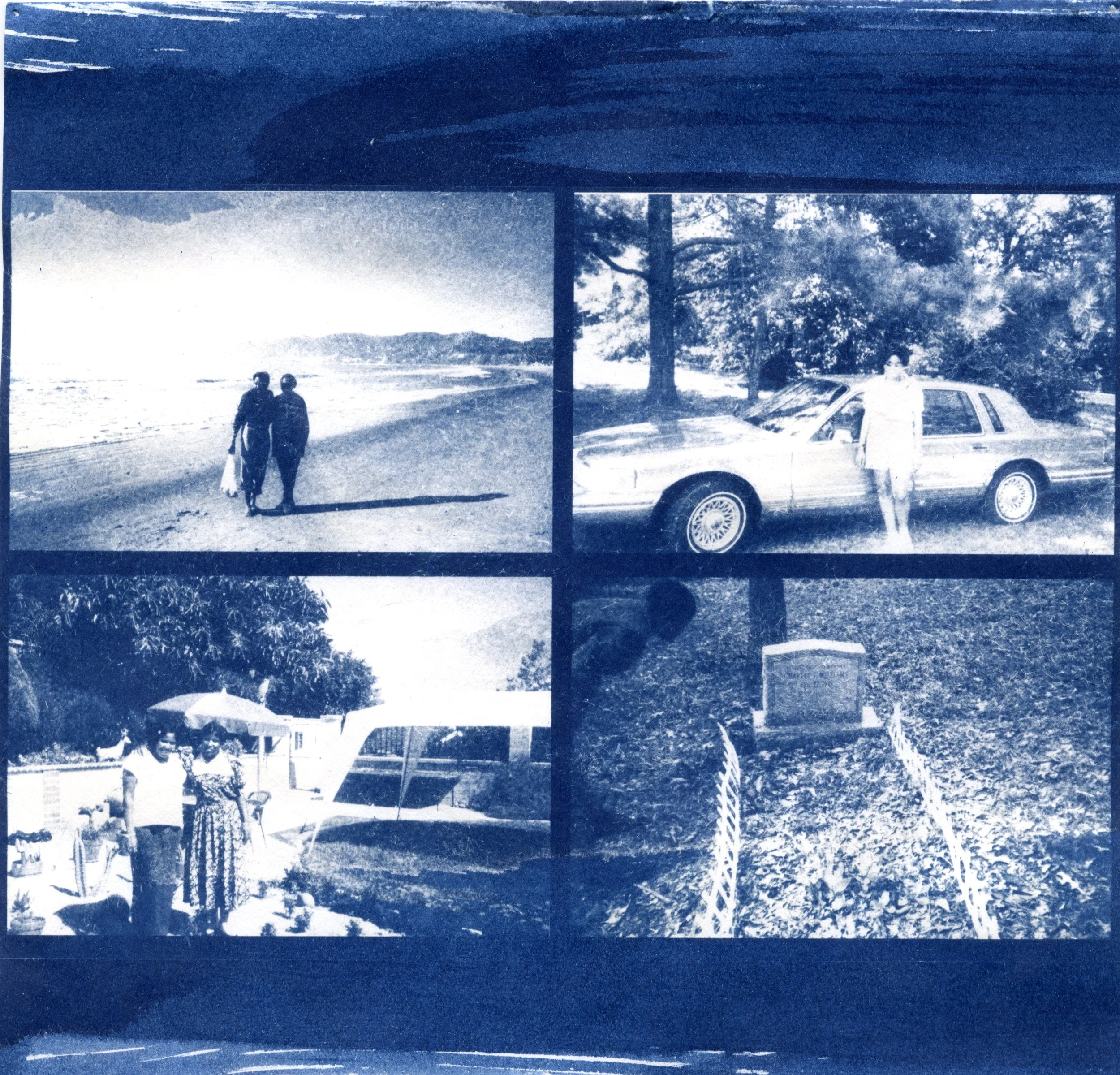 cyanotypes05.jpg