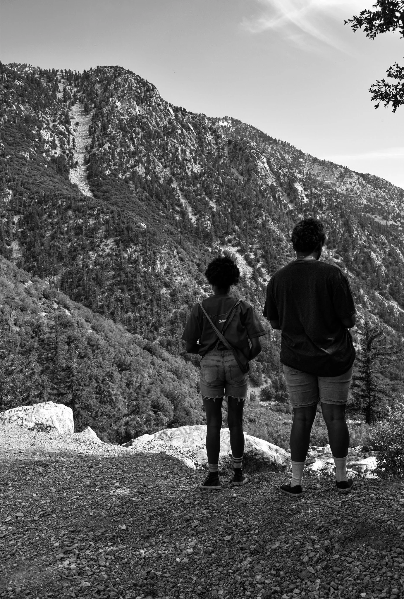 DSC_0726 copy.jpg