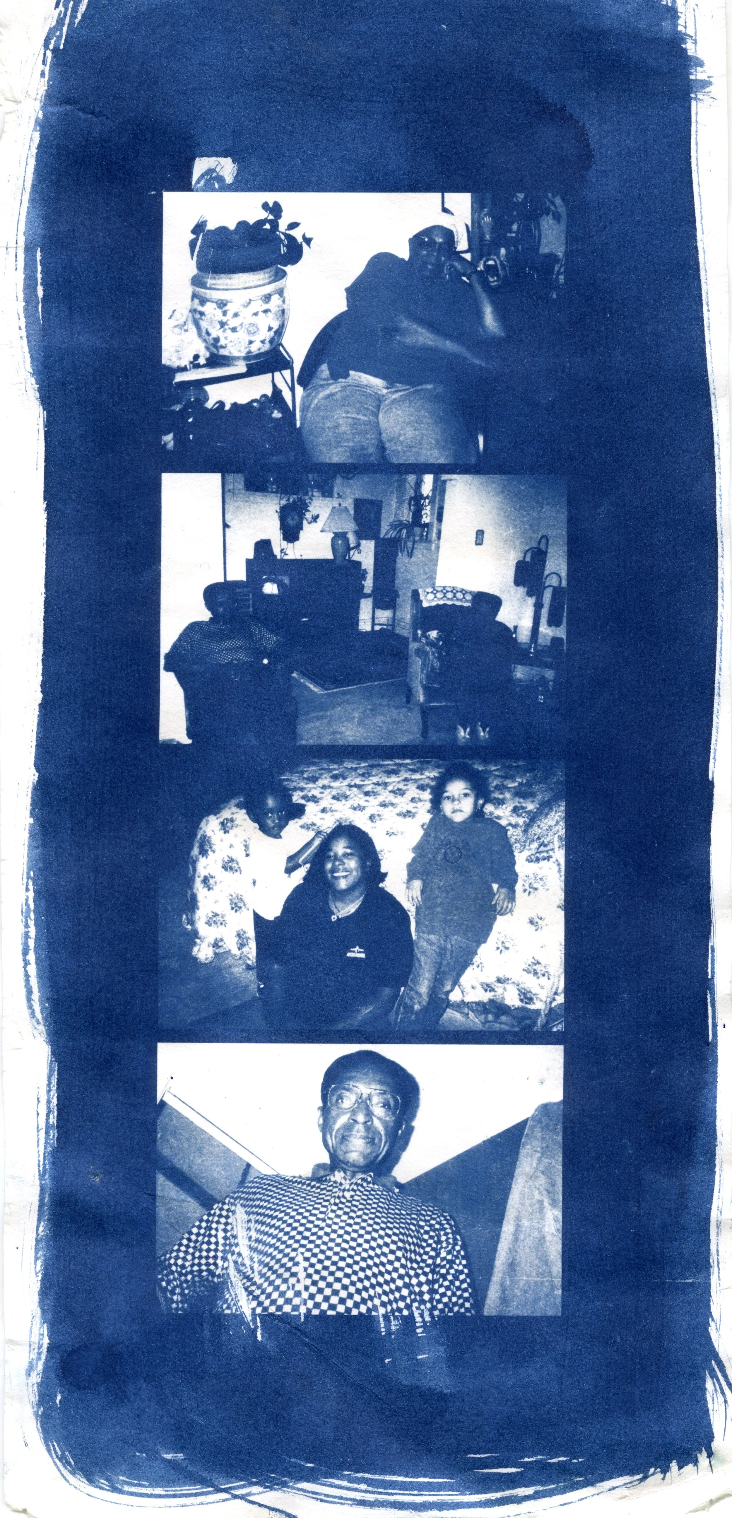 cyanotypes06.jpg