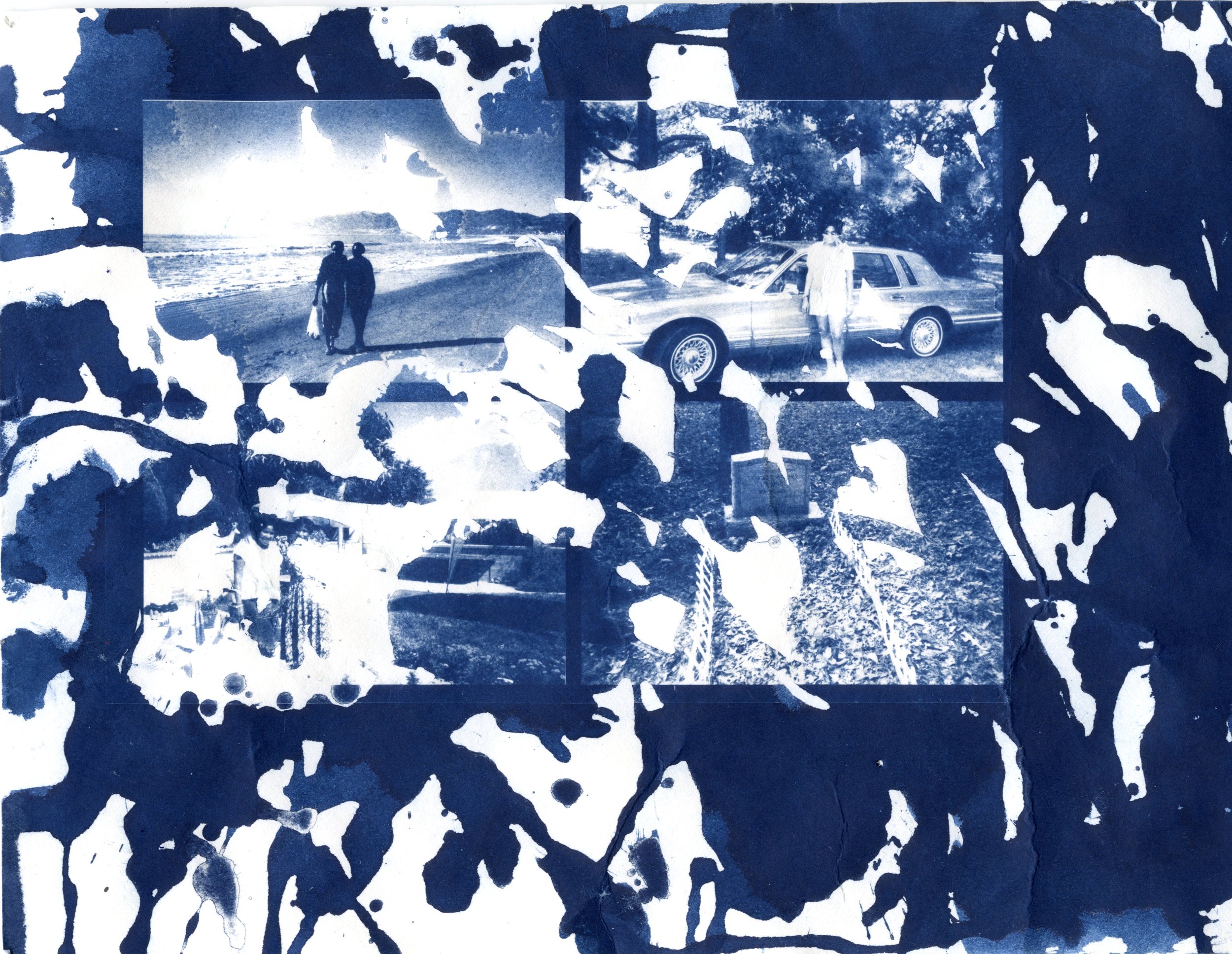 cyanotypes01.jpg