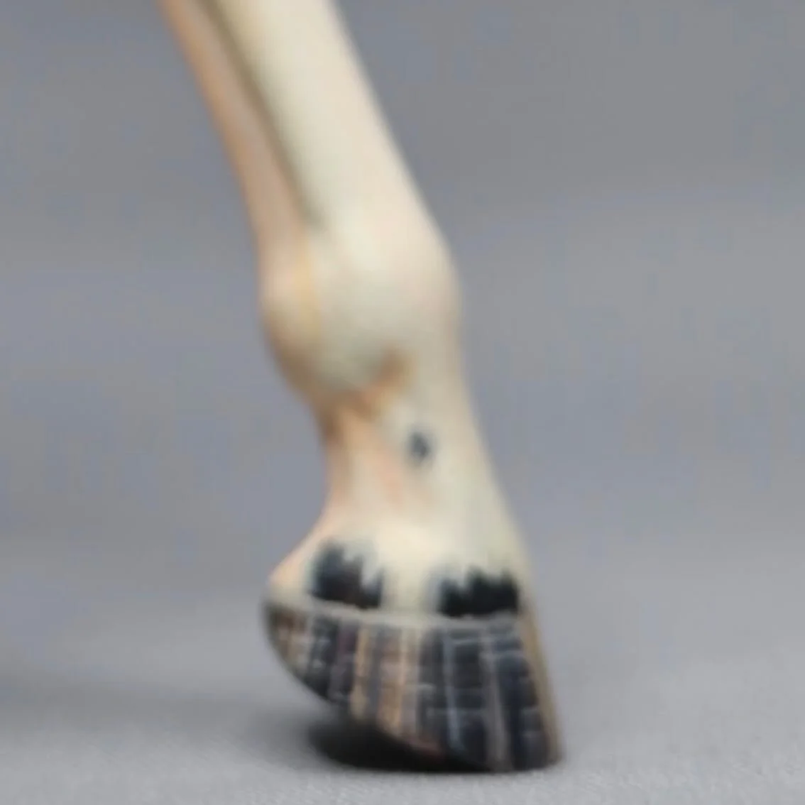 BCC Entry is hitting the finish line ! 

Full Release June 2026. 

{Tags}
#breyer #breyermodelhorse #modelhorse #modelhorsesofinstagram #modelhorsephotography #breyerfest #breyerhorsephotography #breyermodelhorses