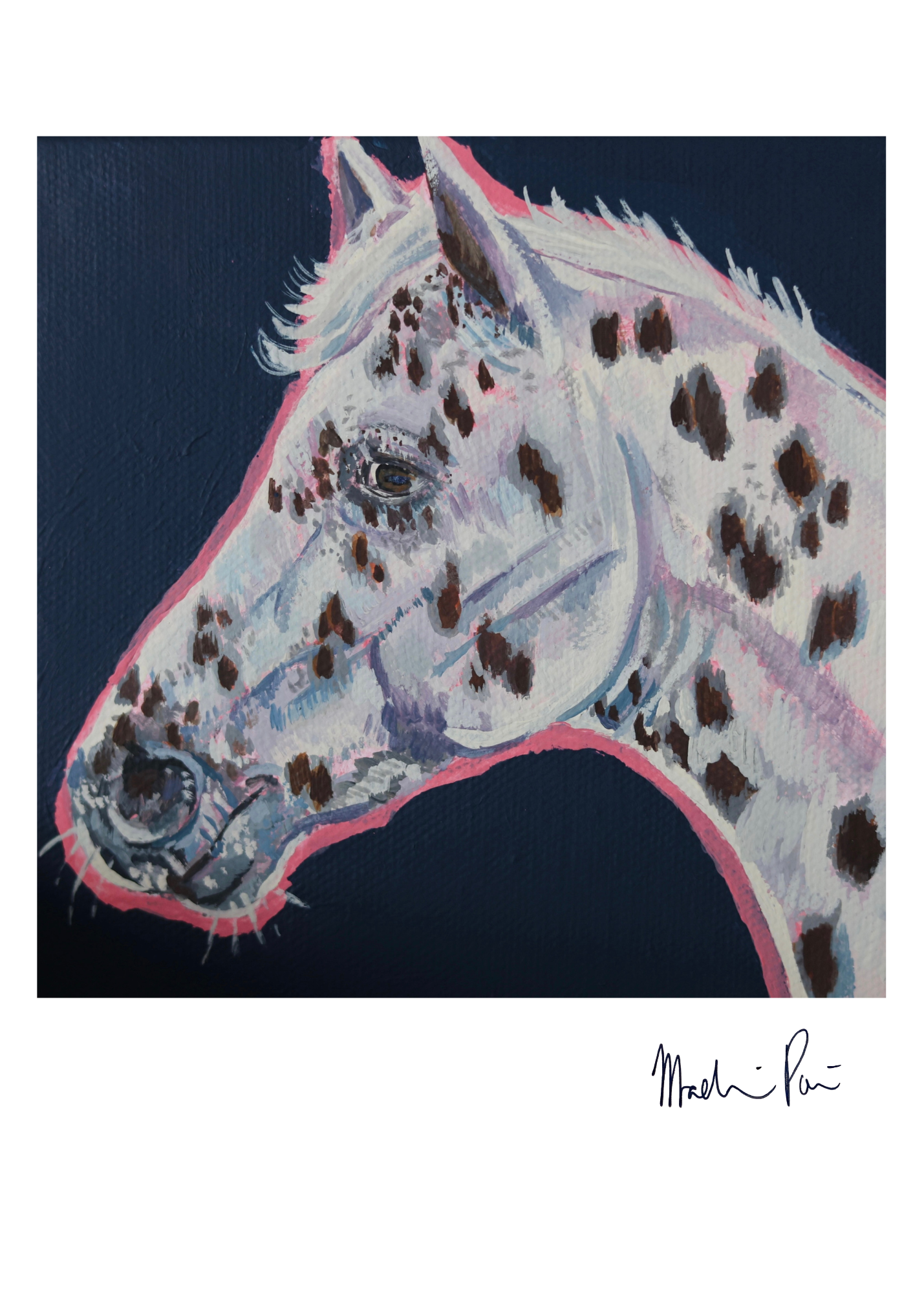 Appaloosa Horse Print
