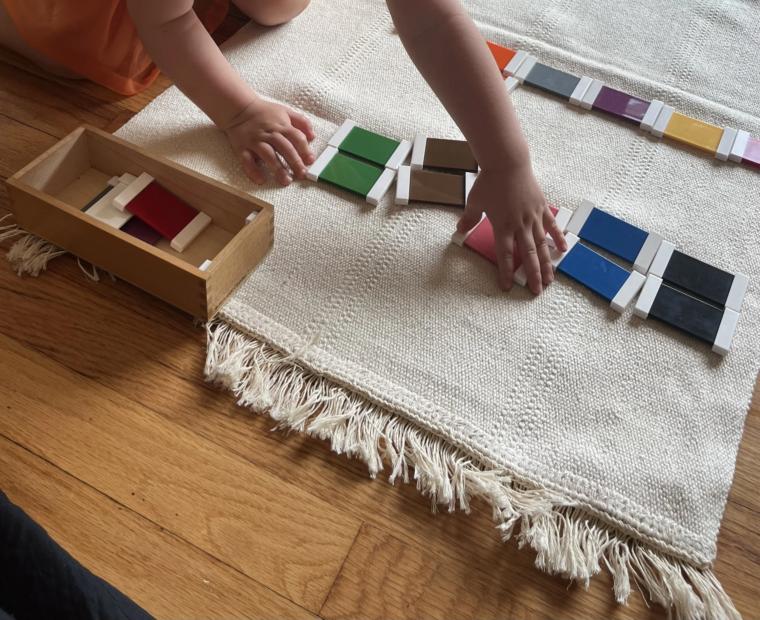 Montessori Color Matching