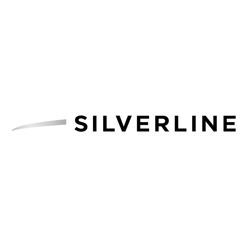 Silver Line Detailing