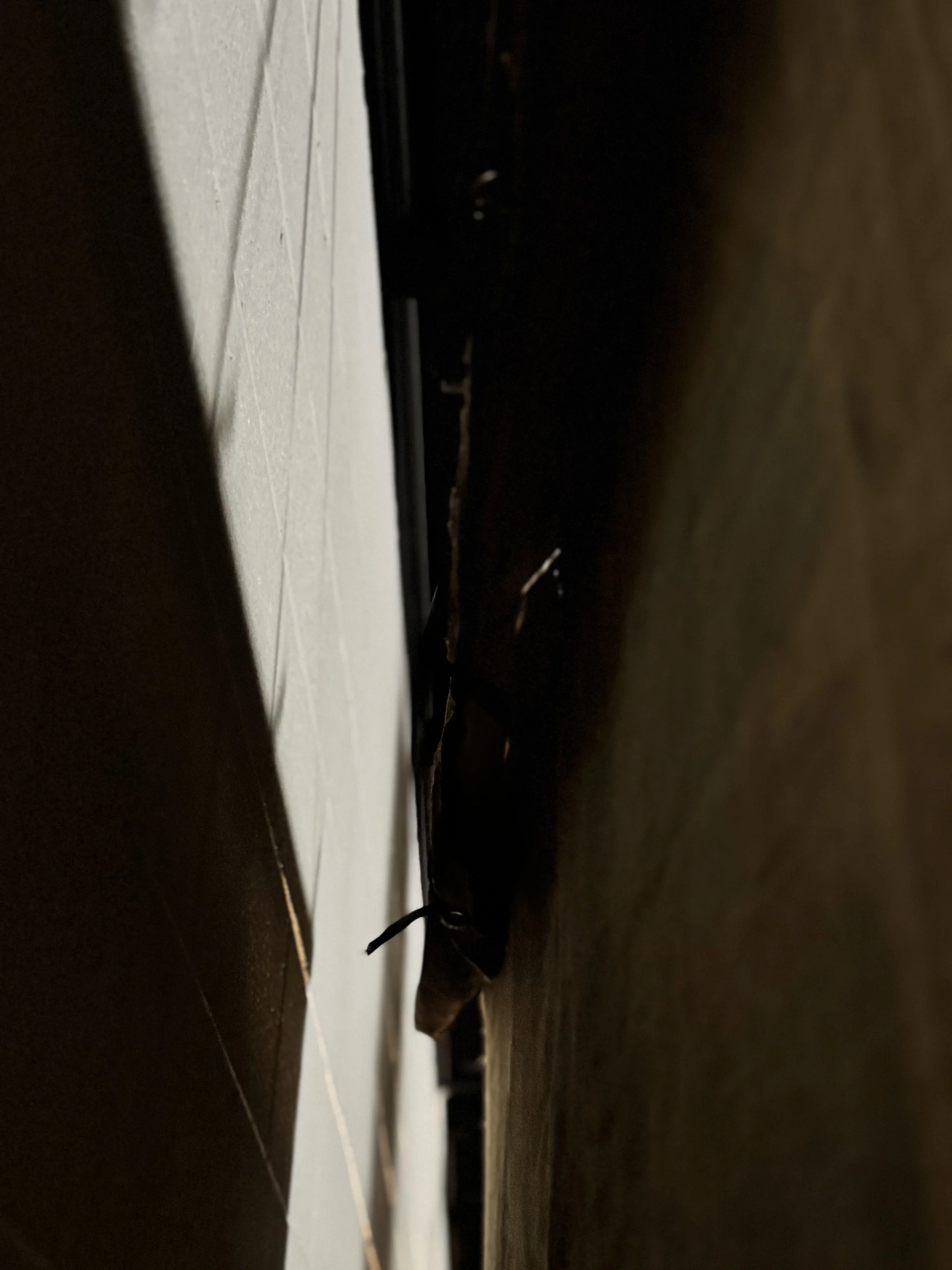 IMG_5734.jpeg