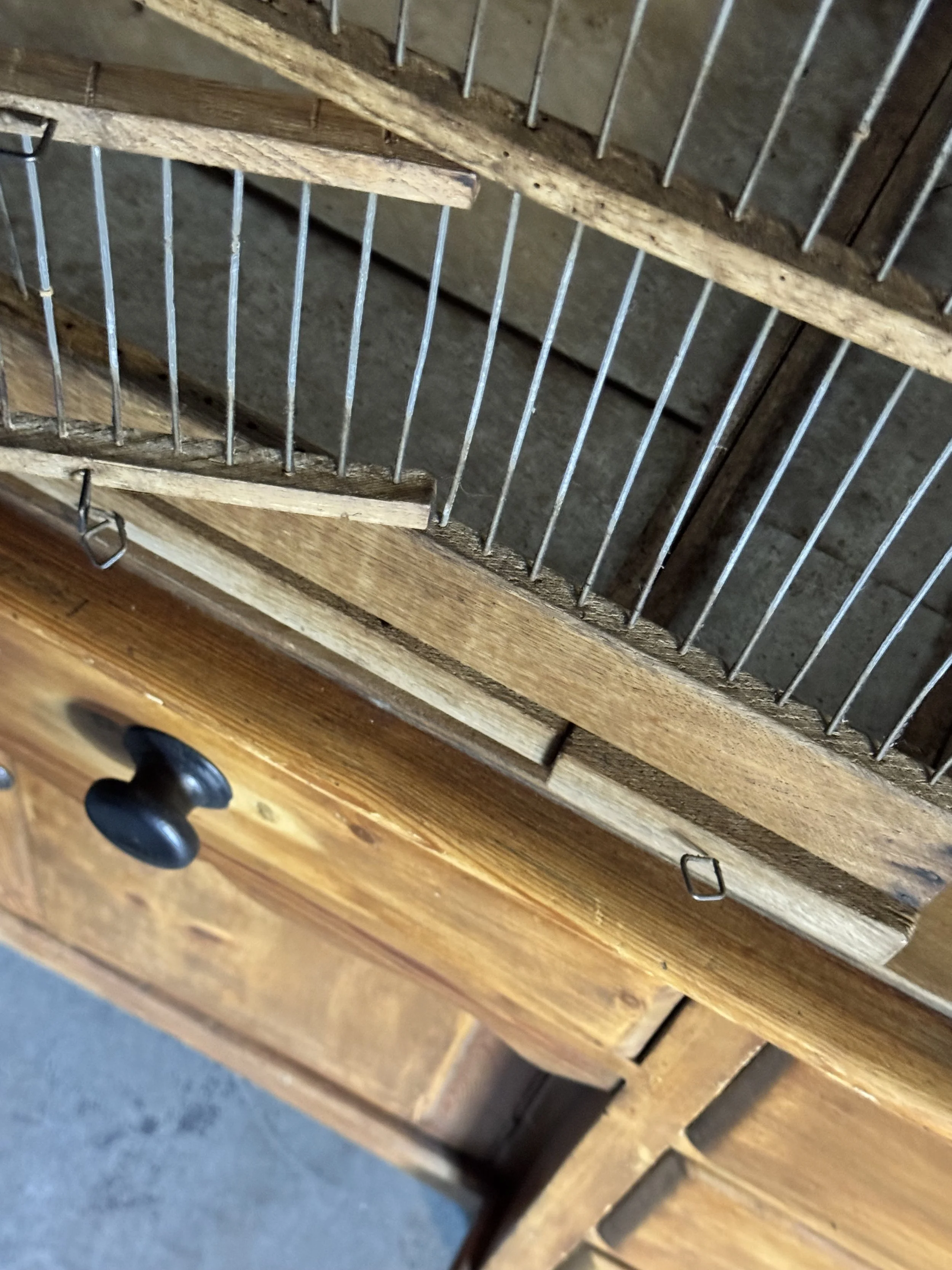 IMG_5061.jpeg