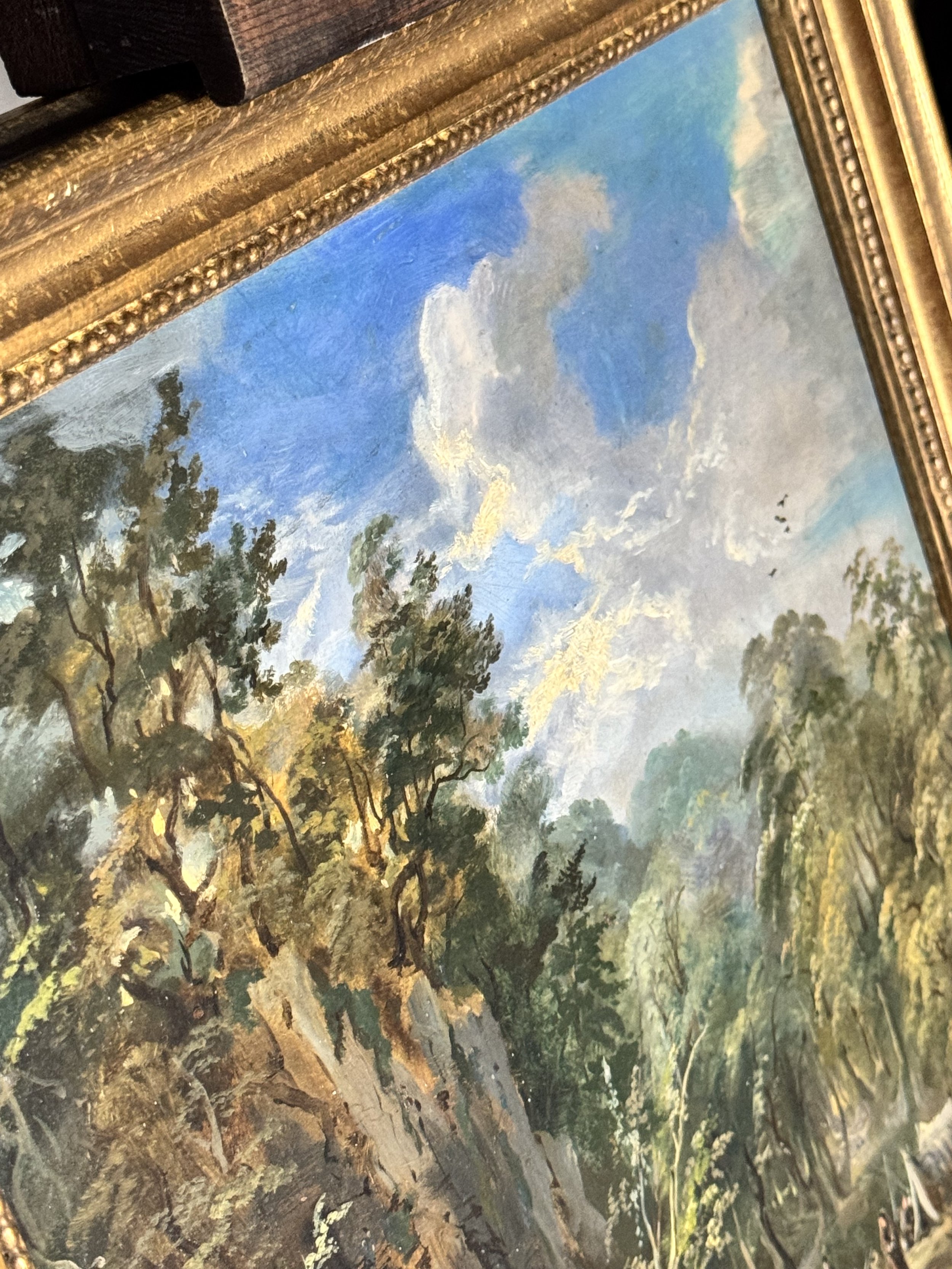 IMG_4181.jpeg