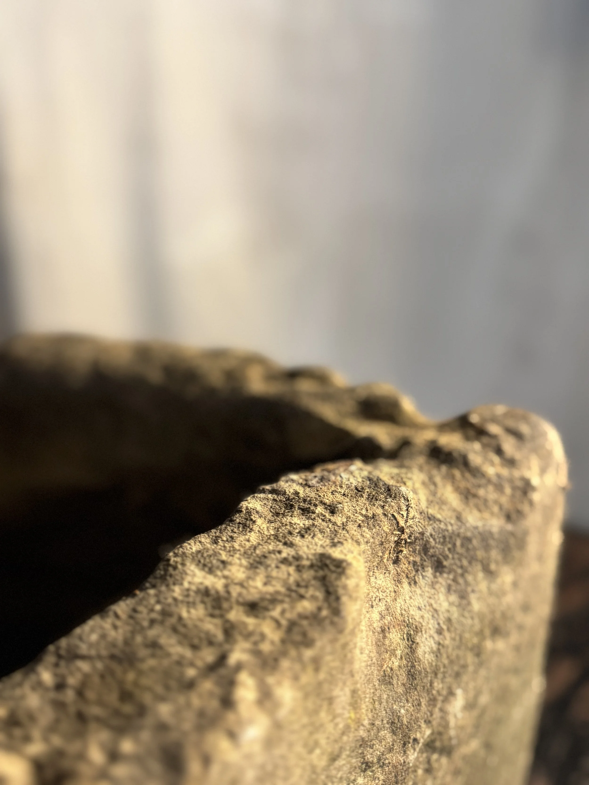 IMG_4703.jpeg