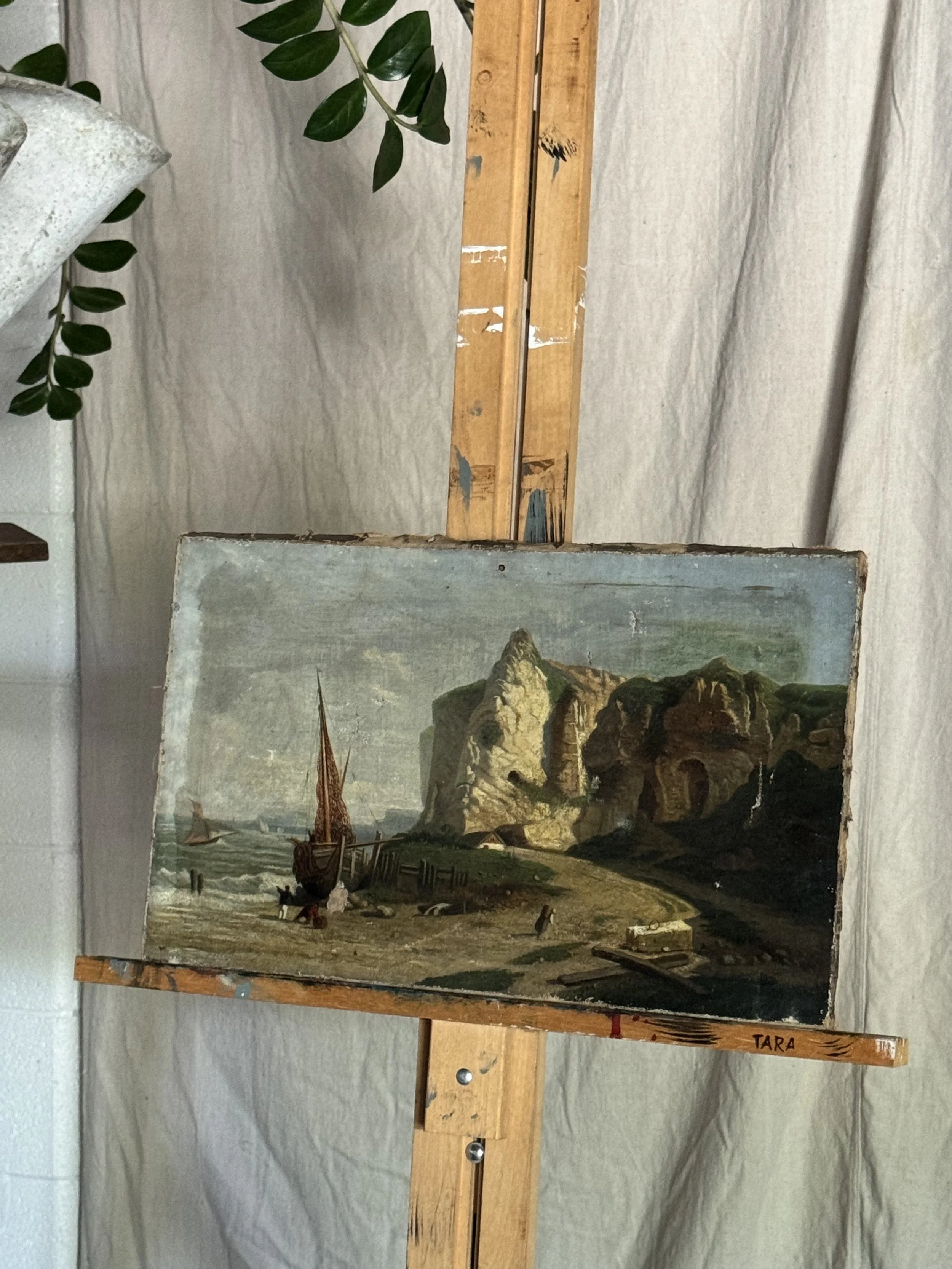 IMG_6313.jpeg