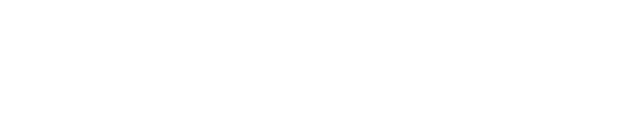 Neighbor to Neighbor logo