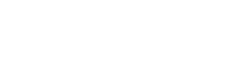 Impala Skate logo with large bold letters and small stars