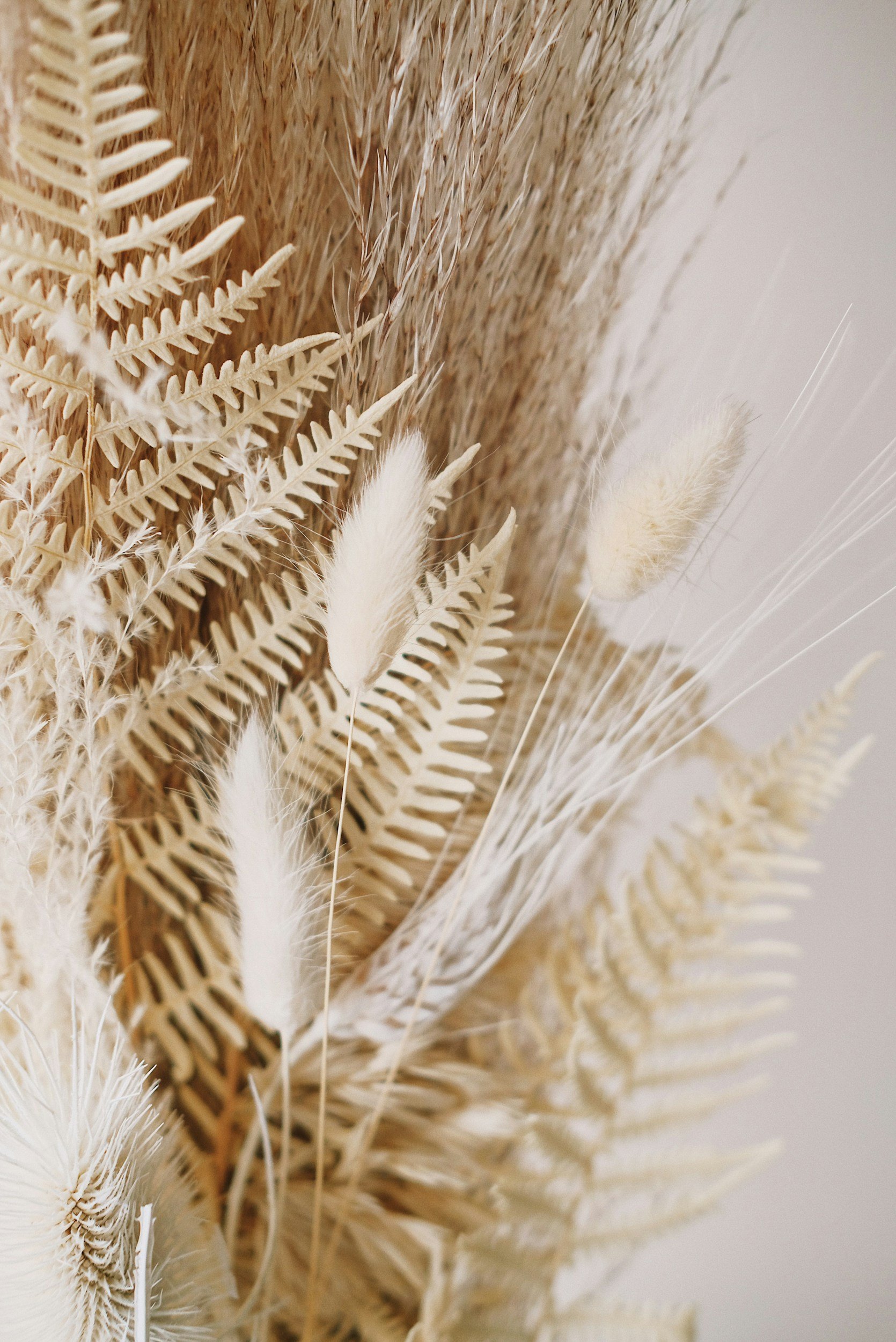 Close-up of dried beige and white botanical arrangement featuring ferns, pampas grass, and other dried plants.