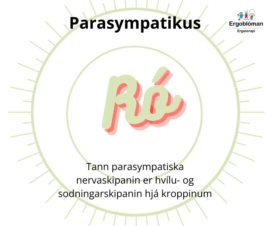 Parasympatikus.jpg