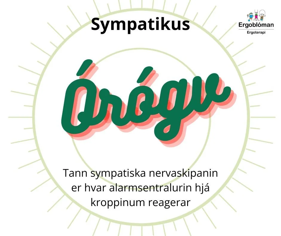 Sympatikus (1).jpg