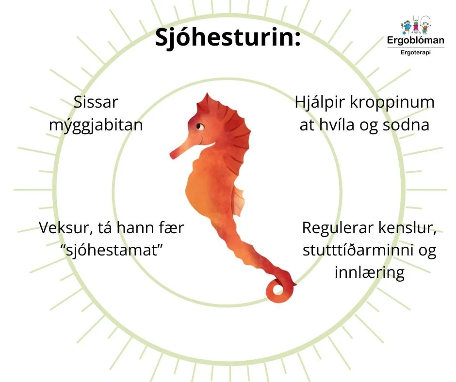 Sjóhesturin.jpg