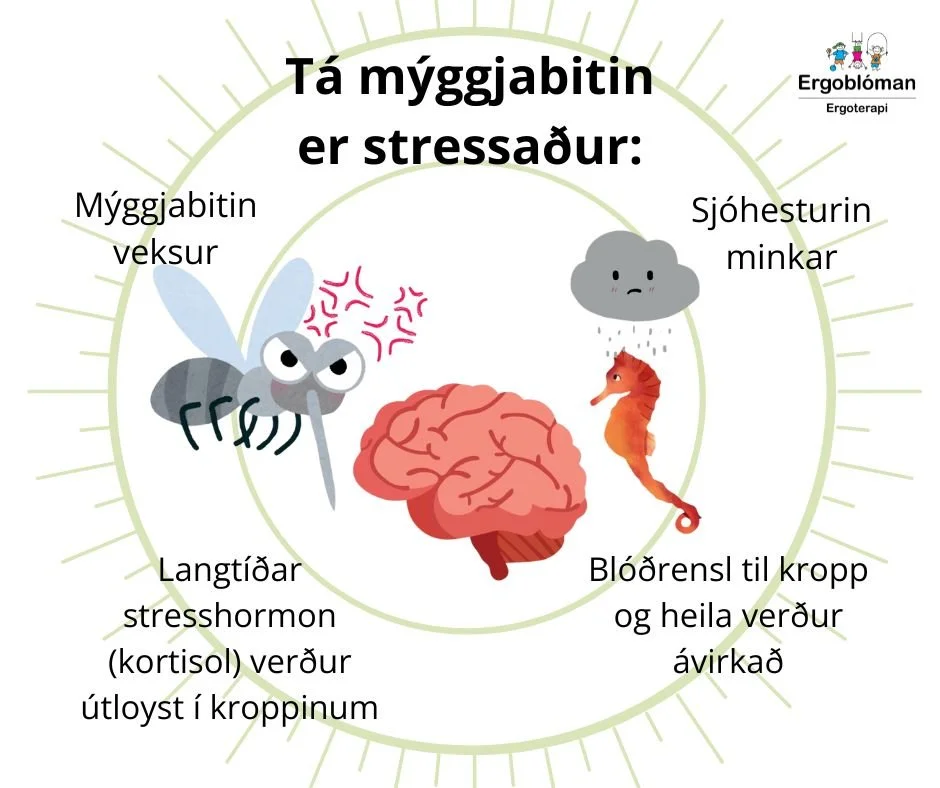 Tá mýggjabitin er stressaður.jpg