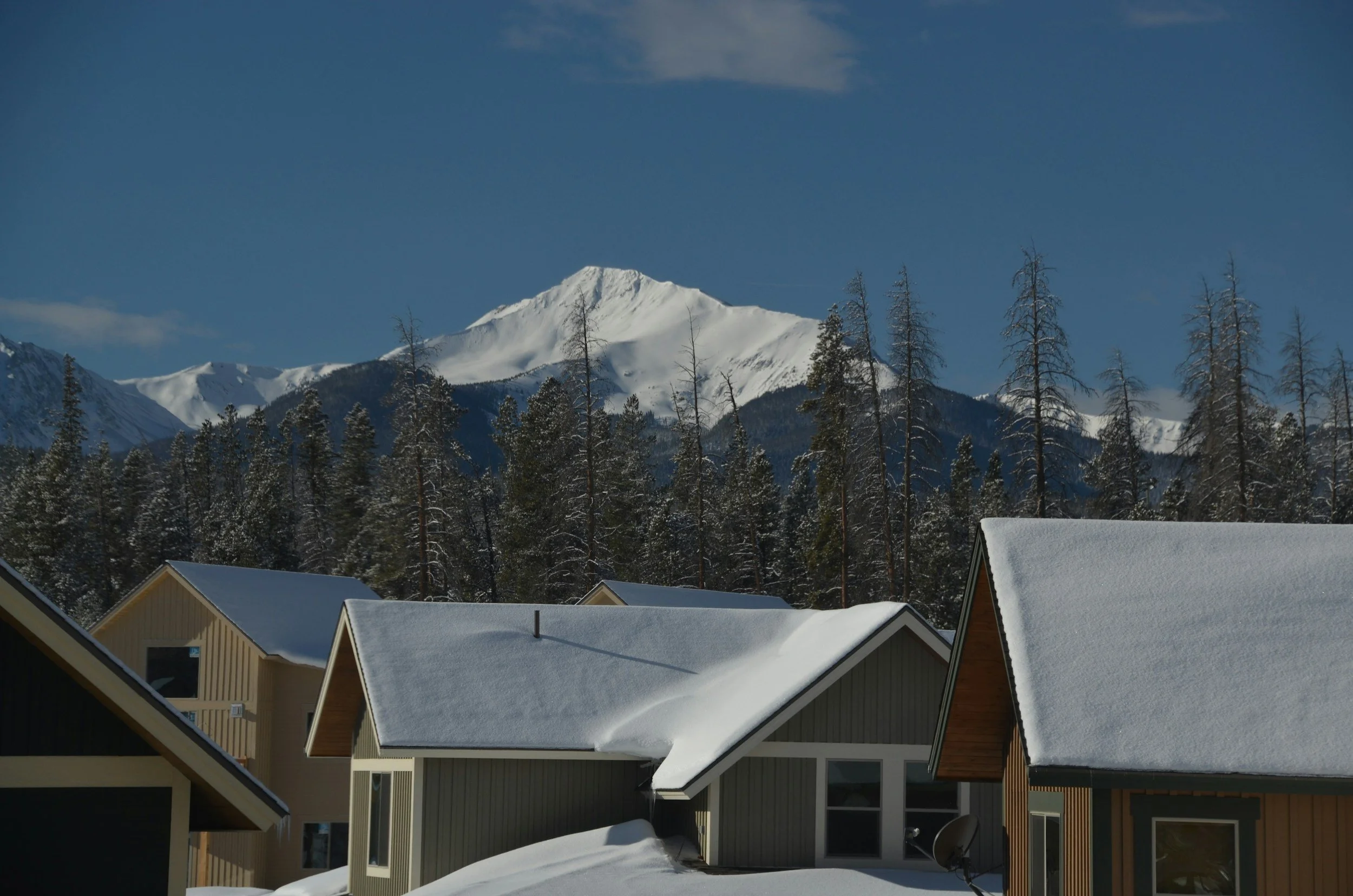Snow-covered mountains with houses in the foreground and a forest of trees between them and the mountains.