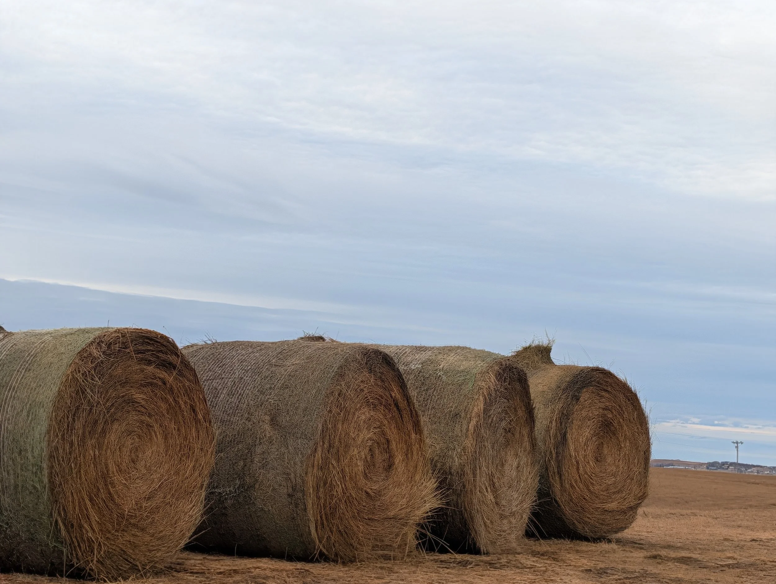 Three large cylindrical hay bales on a flat field under a cloudy sky.