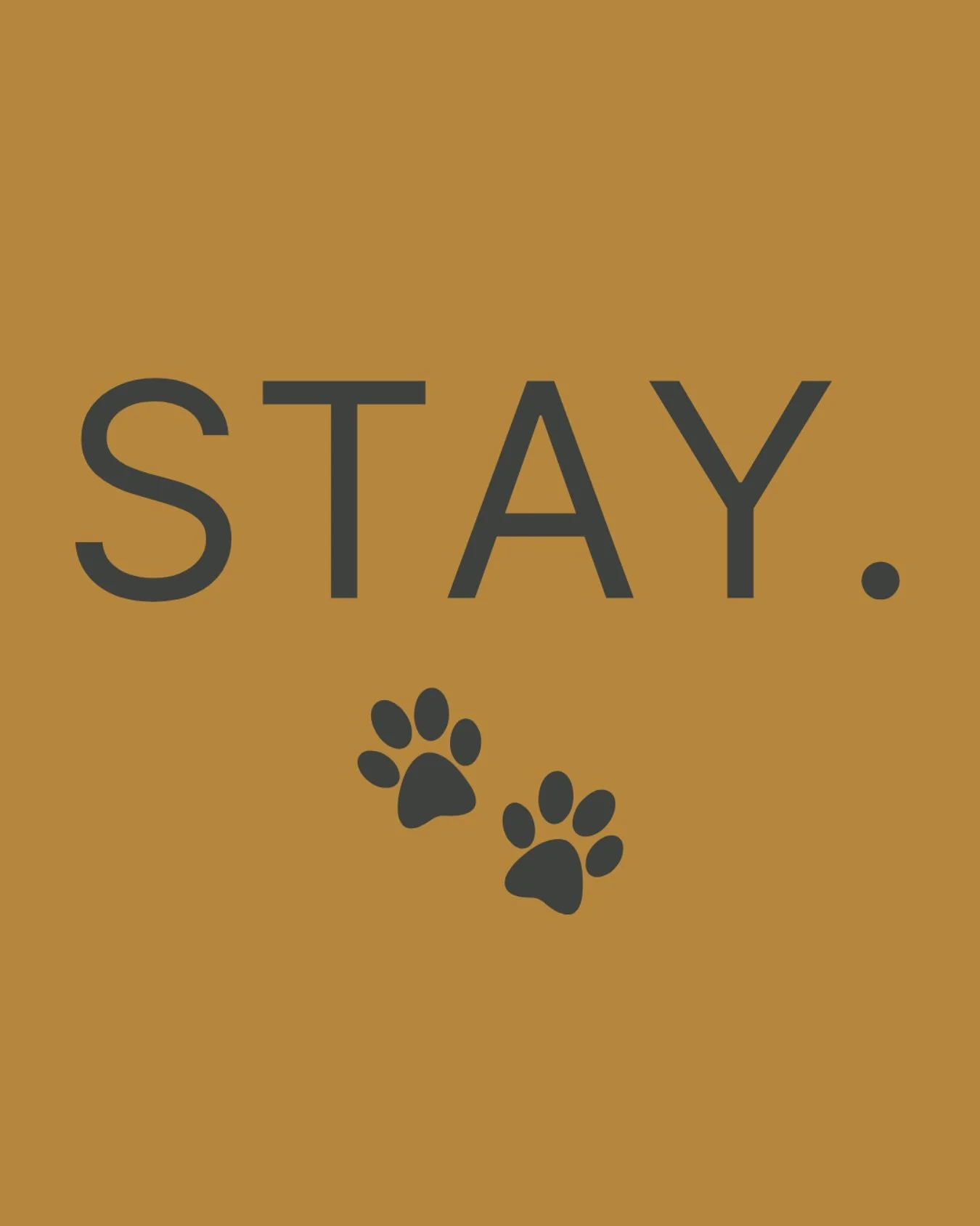 Ruff Draft: Taproom + Indoor Dog Park.

Opening Fall 2025 &bull; Woodinville, WA

#ruffdraftdog