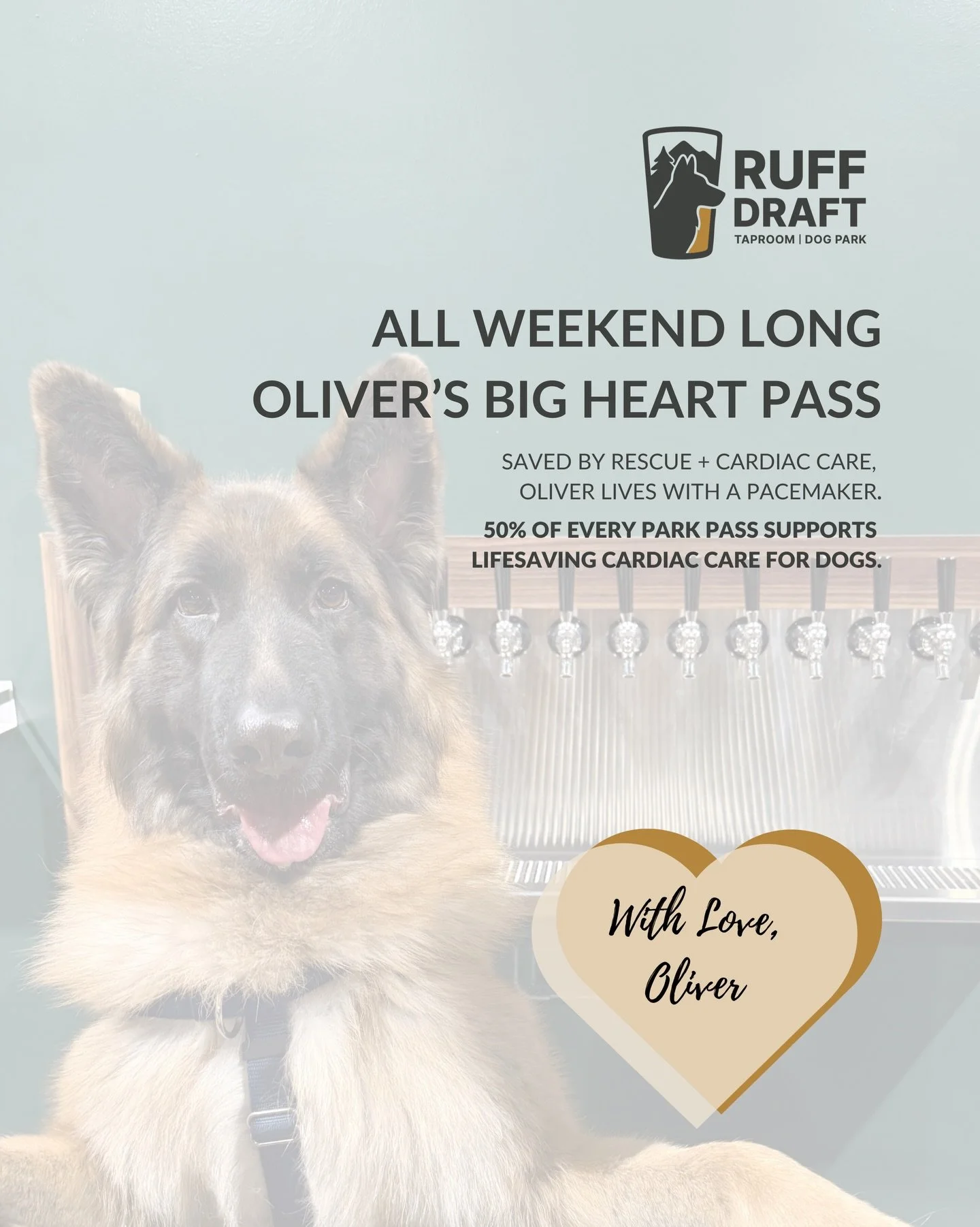 With Love from Oliver.

Oliver was saved by rescue and cardiac care and now lives a full, normal life thanks to his pacemaker. With opening weekend falling on his second birthday, it felt like the right time to give back.

50% of every park pass this