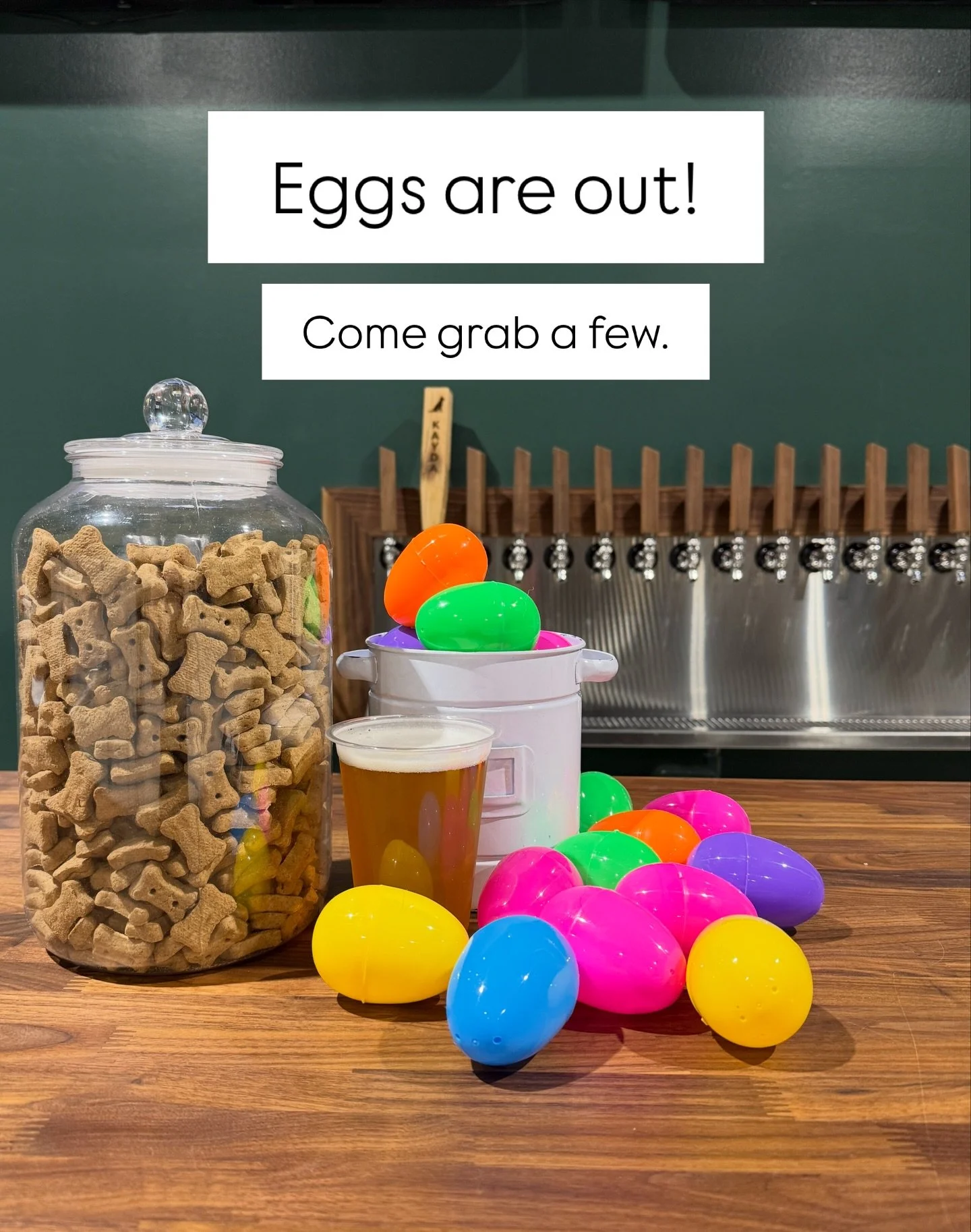 We put the good stuff in the eggs.

Treats, free park play, $$ off daycare, $$ off grooming&hellip;
and a few bigger wins if you get lucky.

Just grab a drink, let your dog take a shot, and see what you get. While they last (they won&rsquo;t last lon