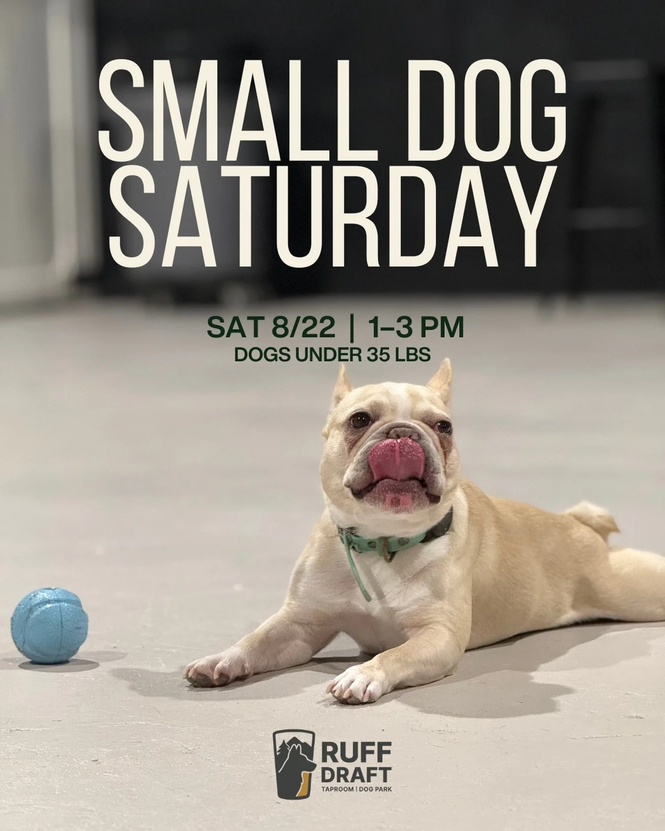 Small dogs, this one&rsquo;s for you!

Ruff Draft is hosting Small Dog Saturday tomorrow from 1&ndash;3 PM! The large dog park will be reserved for two hours of play&mdash;just for pups 35 lbs and under.

Saturday, 8/22 | 1&ndash;3 PM
Dogs 35 lbs &am