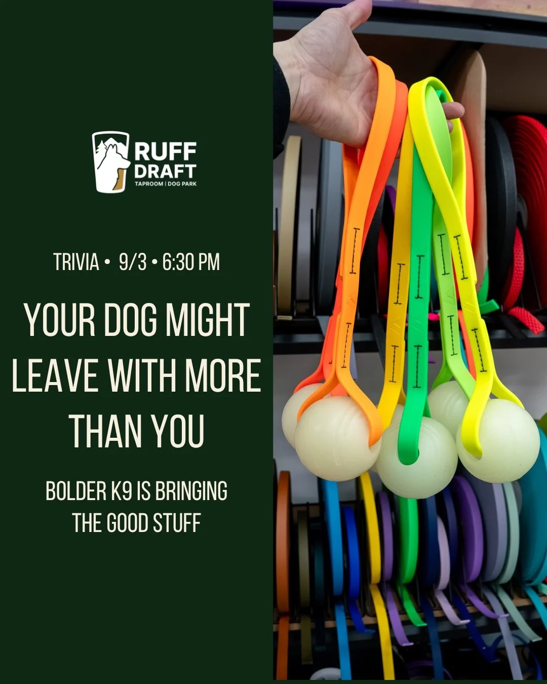 We have BIG trivia news this week.

🌭 THERE WILL BE FOOD. 🌭

Doghouse will be here with their hot dog stand, serving Seattle dogs, Polish dogs + vegan dogs with all the toppings. So yes, you can officially come to trivia hungry!

Chris from Jet Cit