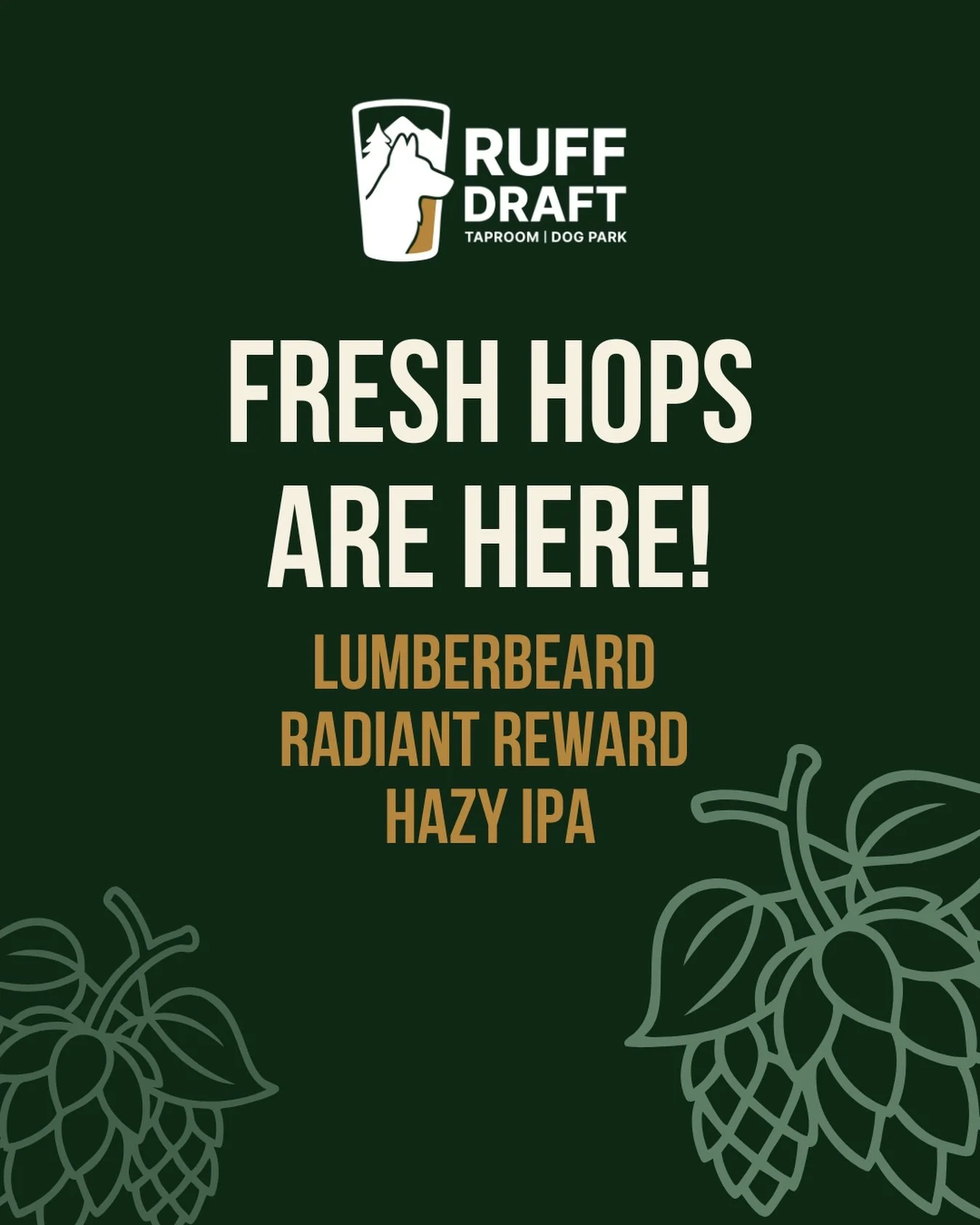 Fresh hops are here! 🍻🌿

@lumberbeard is a Ruff Draft favorite, so we&rsquo;re very excited to have Radiant Reward Fresh Hop Hazy IPA pouring on tap right now.

Fresh, hazy, and exactly the kind of beer we love bringing in for you. Come grab a pint