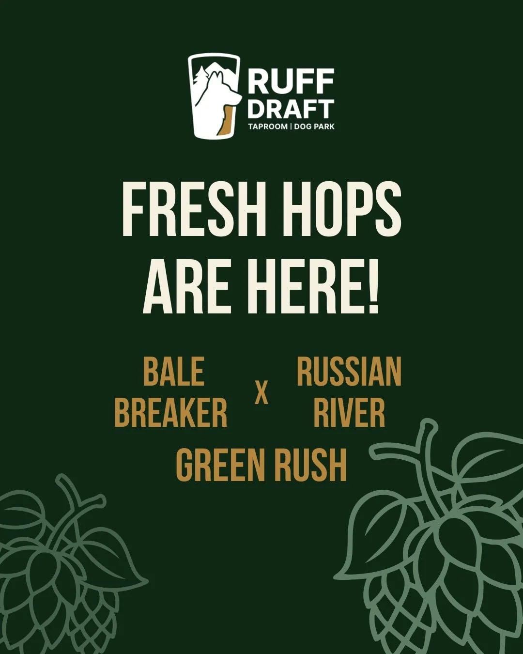 Fresh hops have entered the chat!🍻🌿

We&rsquo;ve got two fresh hop pours worth getting excited about: @lumberbeard Radiant Reward and @balebreaker x @russianriverbrewingofficial Green Rush. 

Plus a whole lineup of other good reasons to stay for an