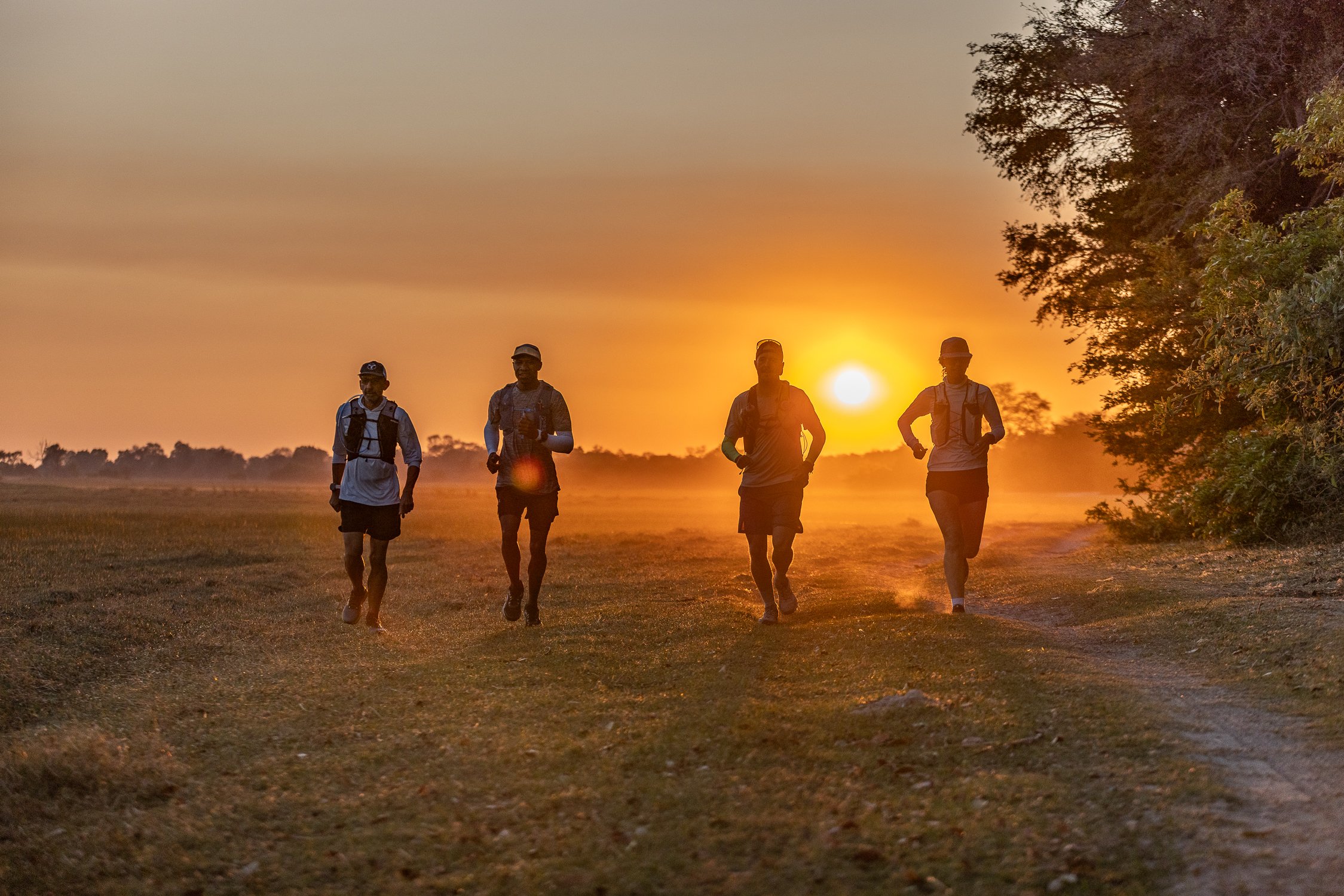 Reframing Safaris: Botswana Beyond the Typical Safari
