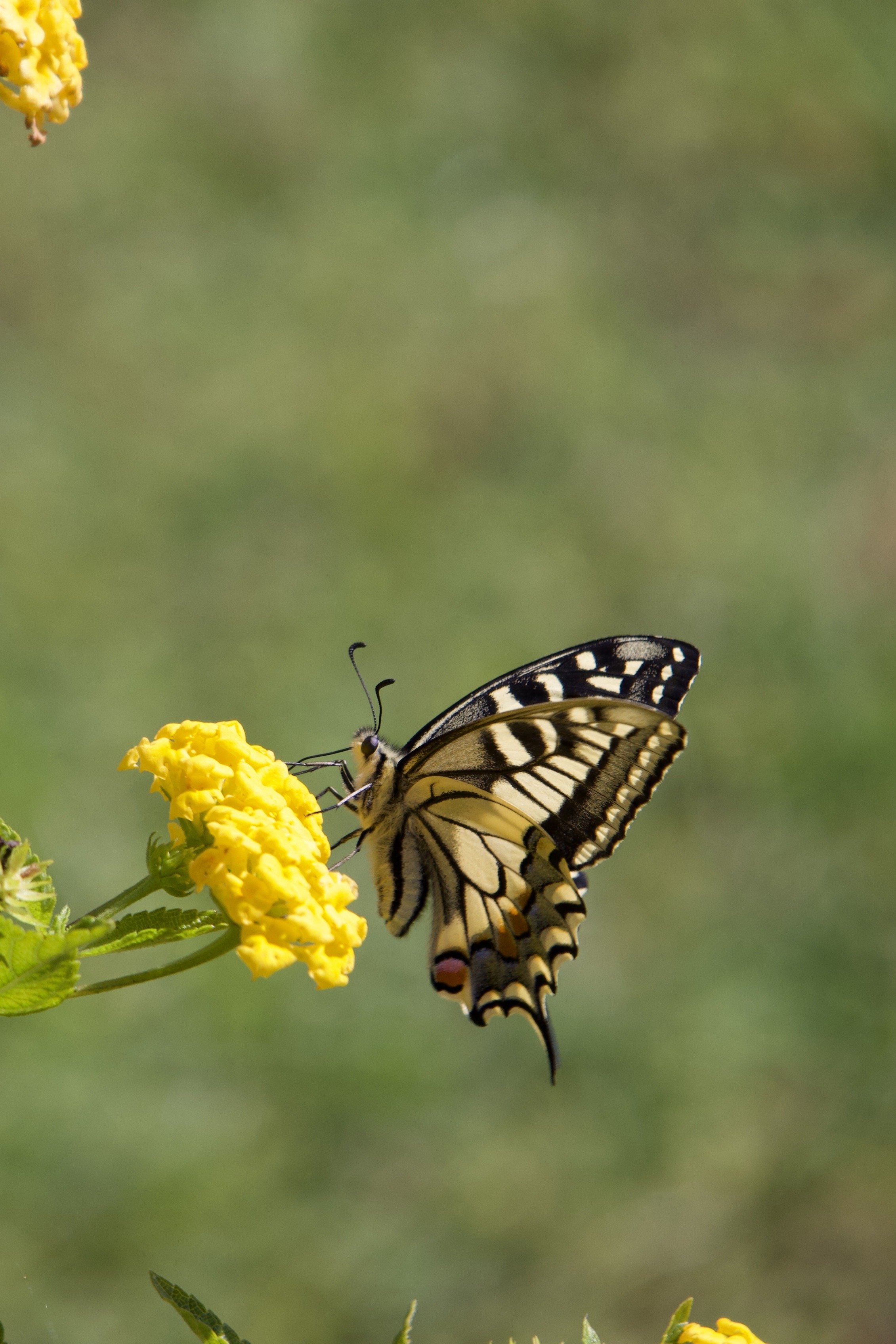 Monaci delle Terre Nere: The Hidden Gem of Sicily