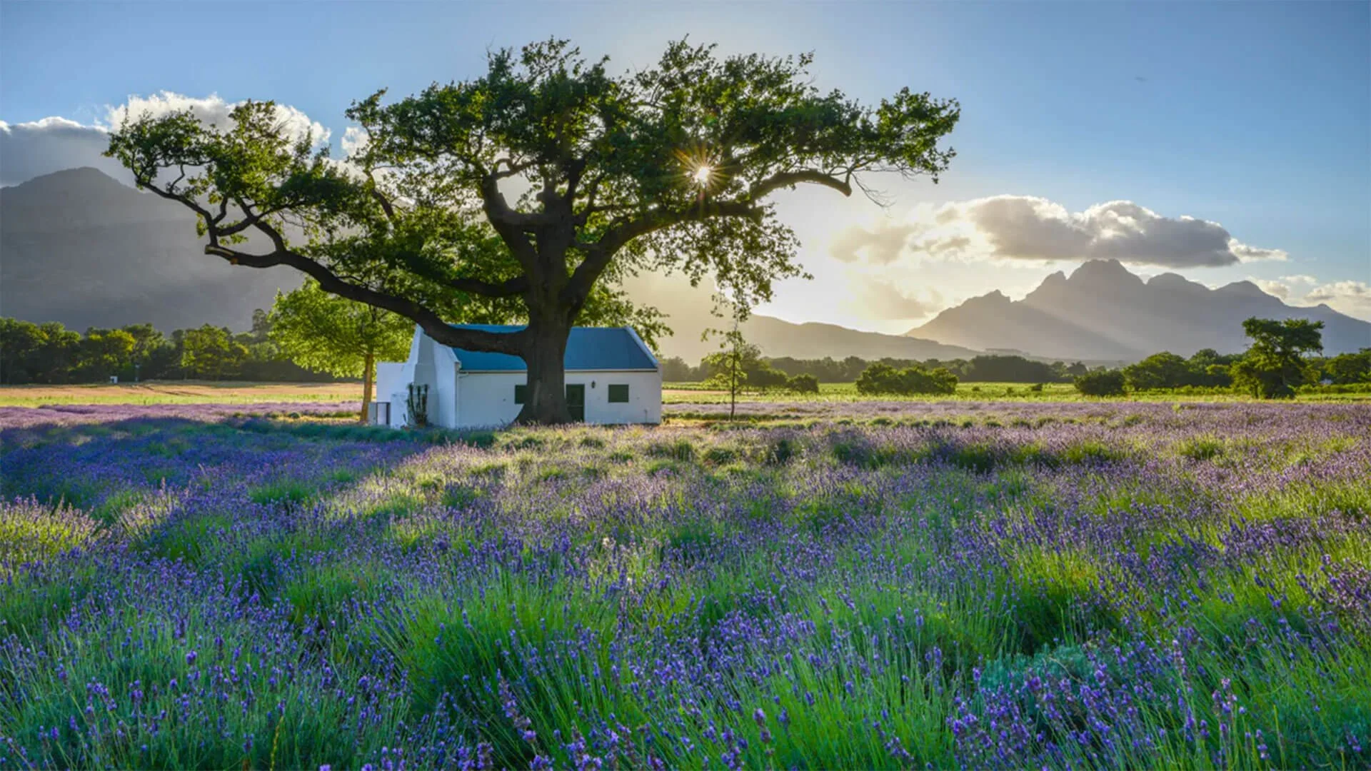The Best Restaurants in The Wine Region - South Africa