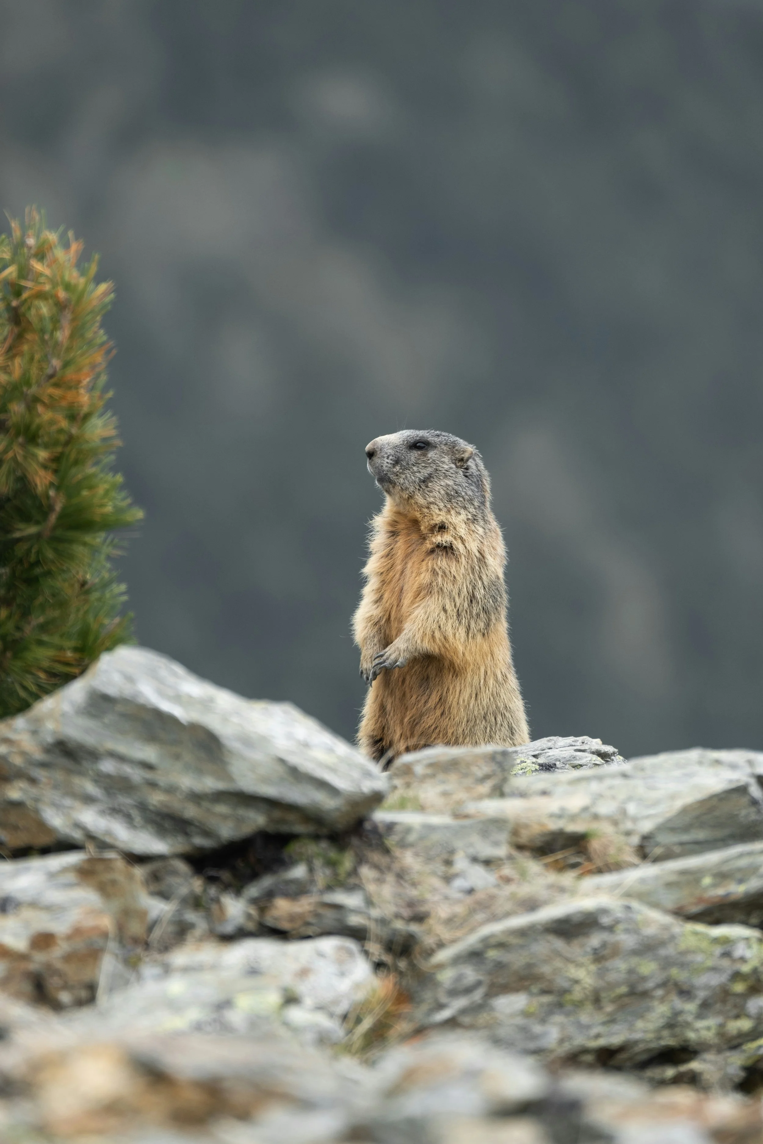 Exploring the Dolomites: Gardena Grödnerhof