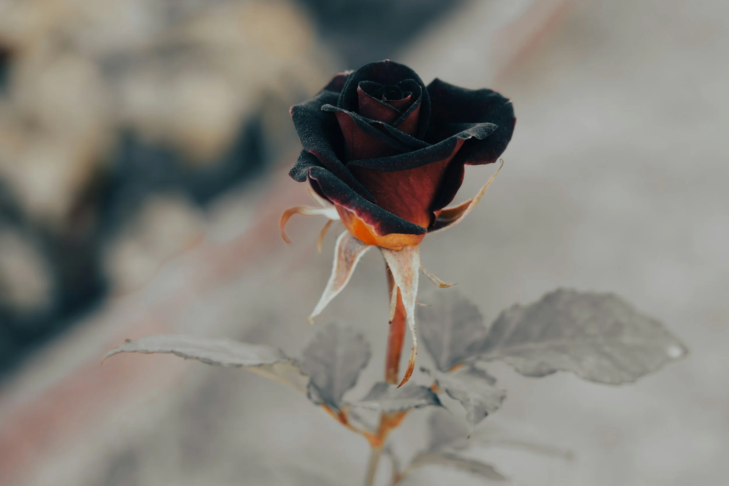 Why You Keep Having the Same Fight in Your Relationship