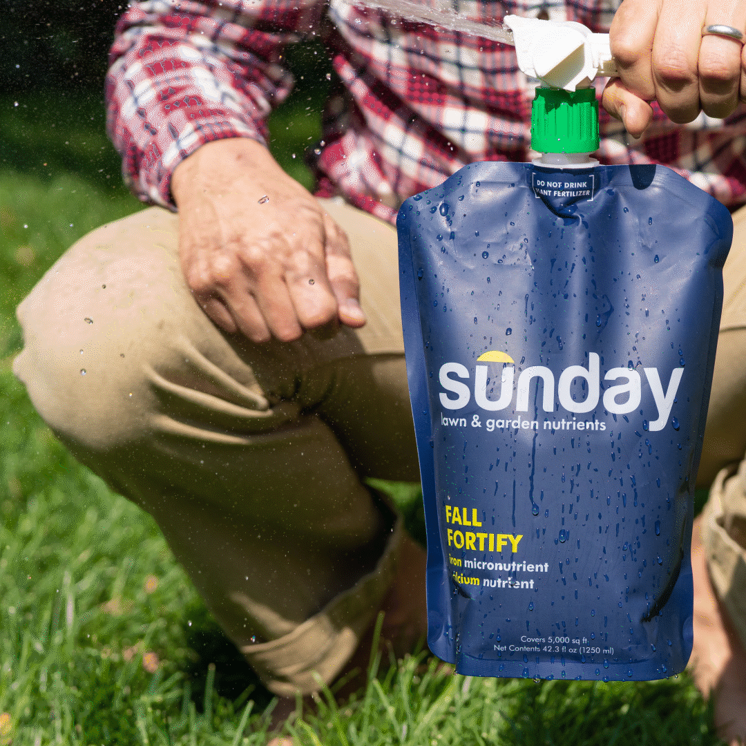 Sunday-Prop- LaborDay_b.gif