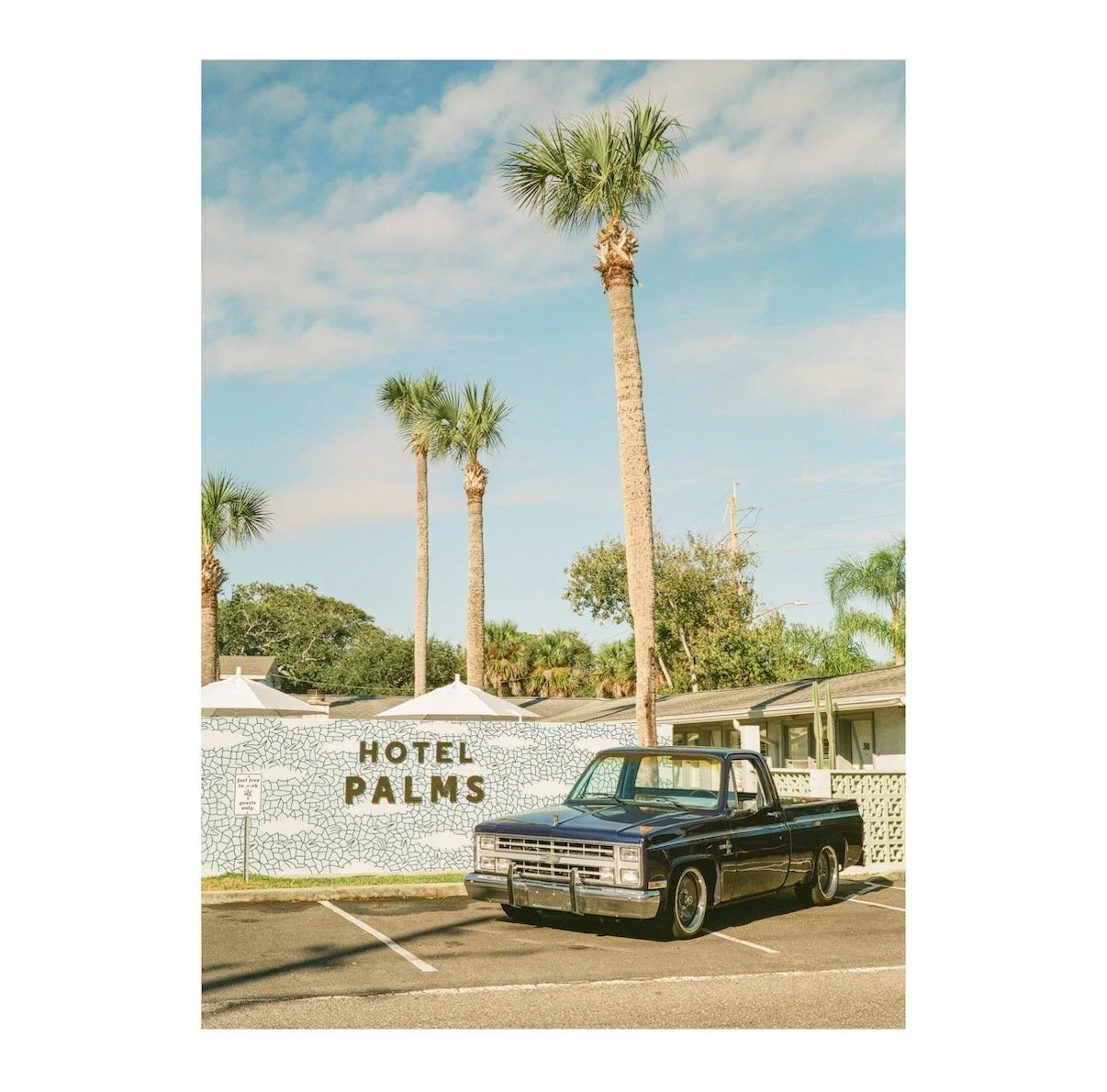 Hotel Palms