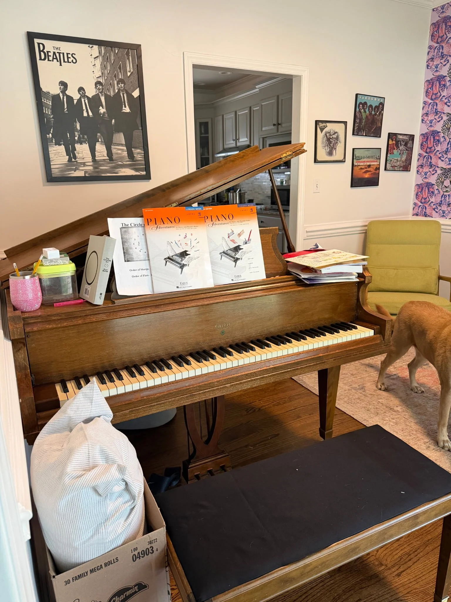 Baby Grand — Fischer