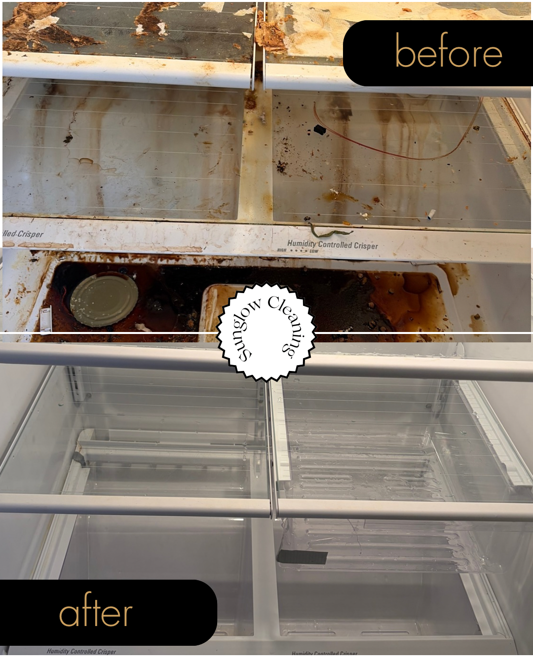 A gross refrigerator before and after showing sparkling, clean results