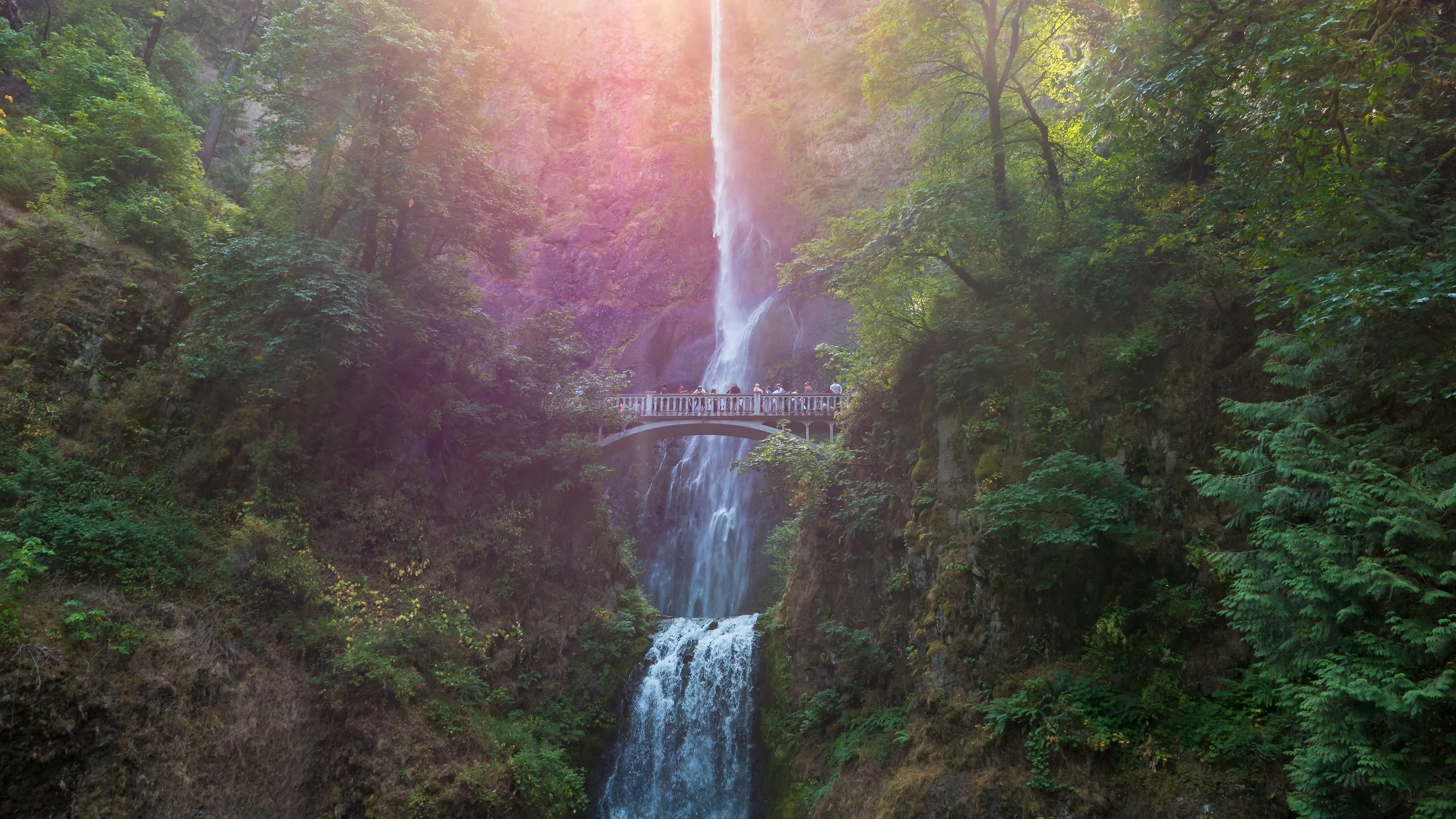Cascade d'une hauteur importante dans une forêt dense, avec un pont blanc au milieu et des gens qui le traversent, entouré de verdure.