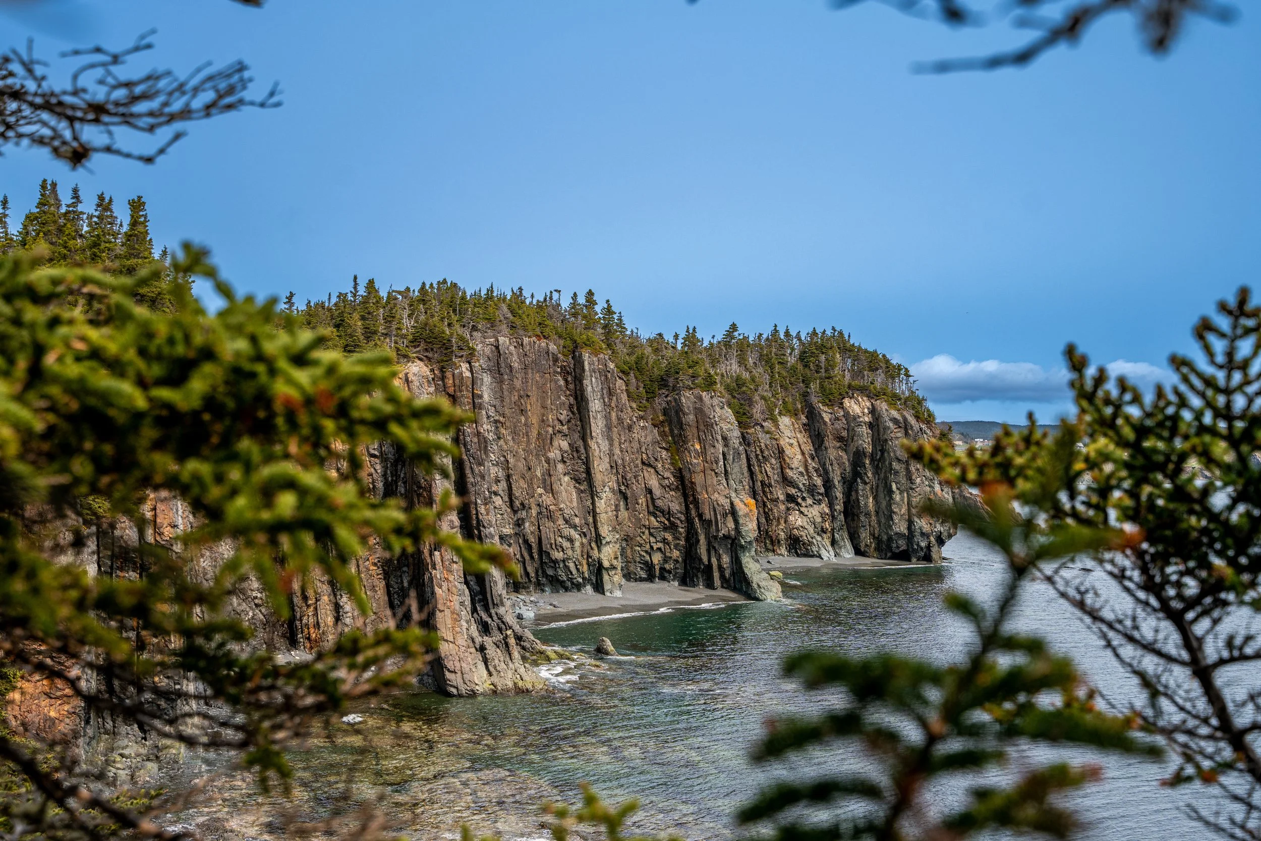 Falaises rocheuses bordant une mer calme, vues à travers des branches d'arbres conifères, ciel bleu avec quelques nuages.