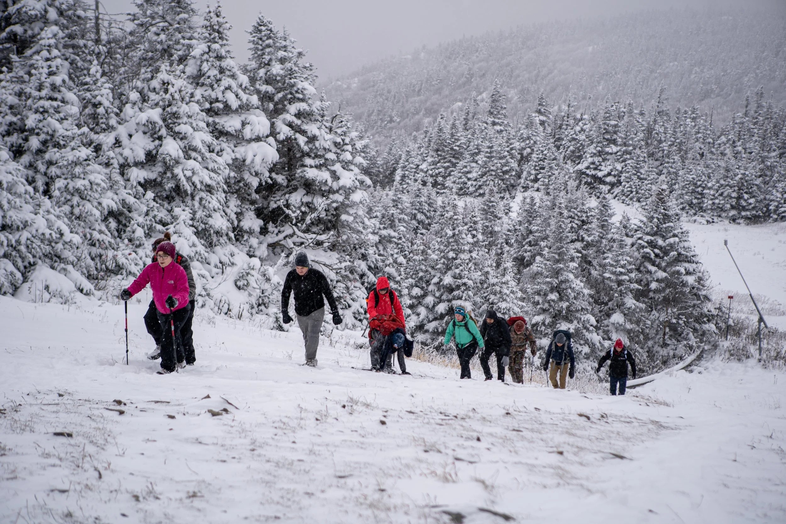 Groupe de personnes faisant une randonnée en montagne enneigée, avec des arbres couverts de neige en arrière-plan.