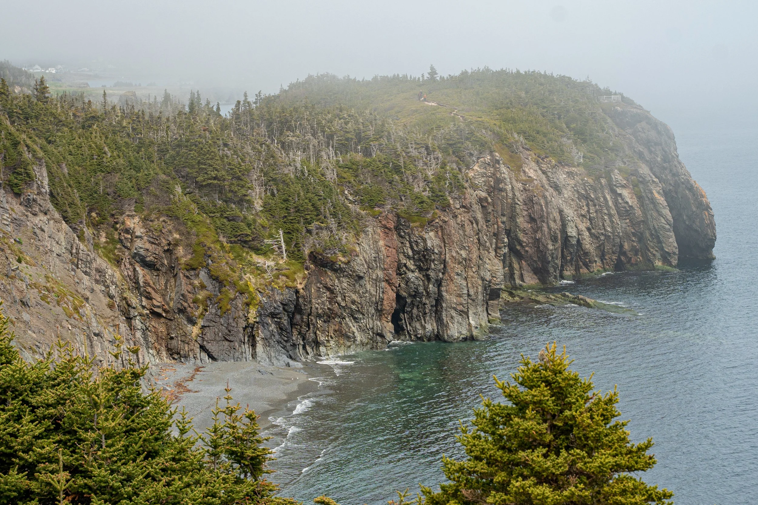 Falaise rocheuse recouverte d'arbres verdoyants dominant une plage de galets et l'océan, avec une brume légère en arrière-plan.