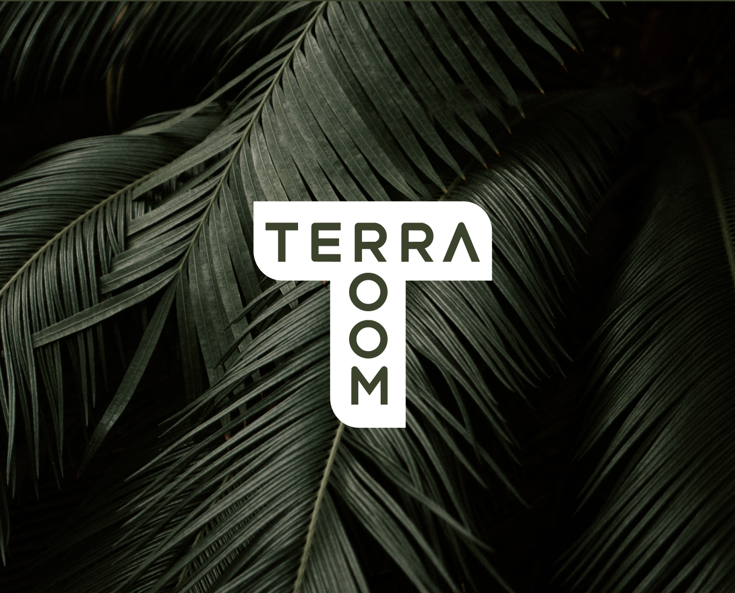 Снимок экрана 2025-08-16 в 2.32.48 AM.png