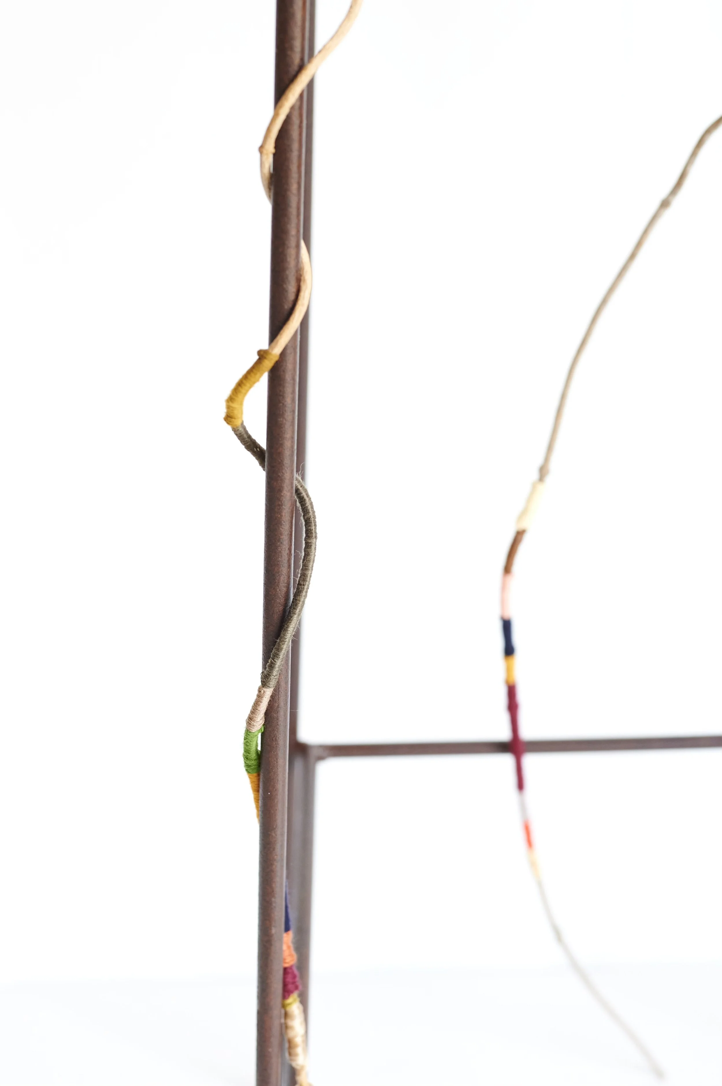 Pyriscence (detail), 2026. Salvaged trellis, vine, wire, embroidery floss.