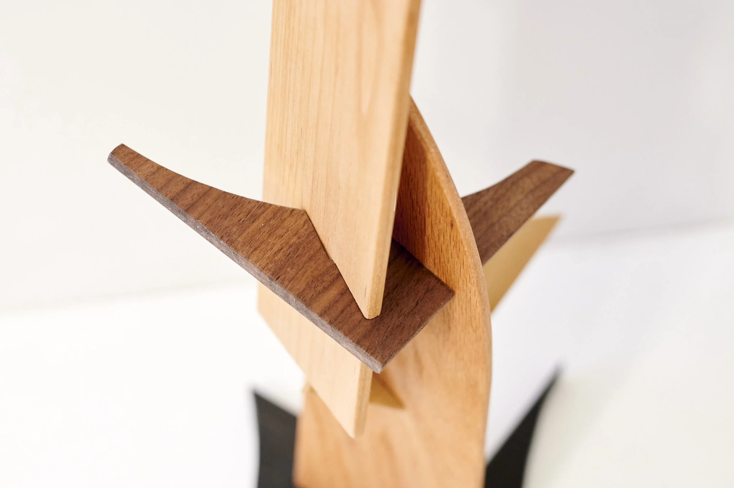 Untitled #2 (detail), 2025. Pine, oak, poplar, walnut, cedar, ash