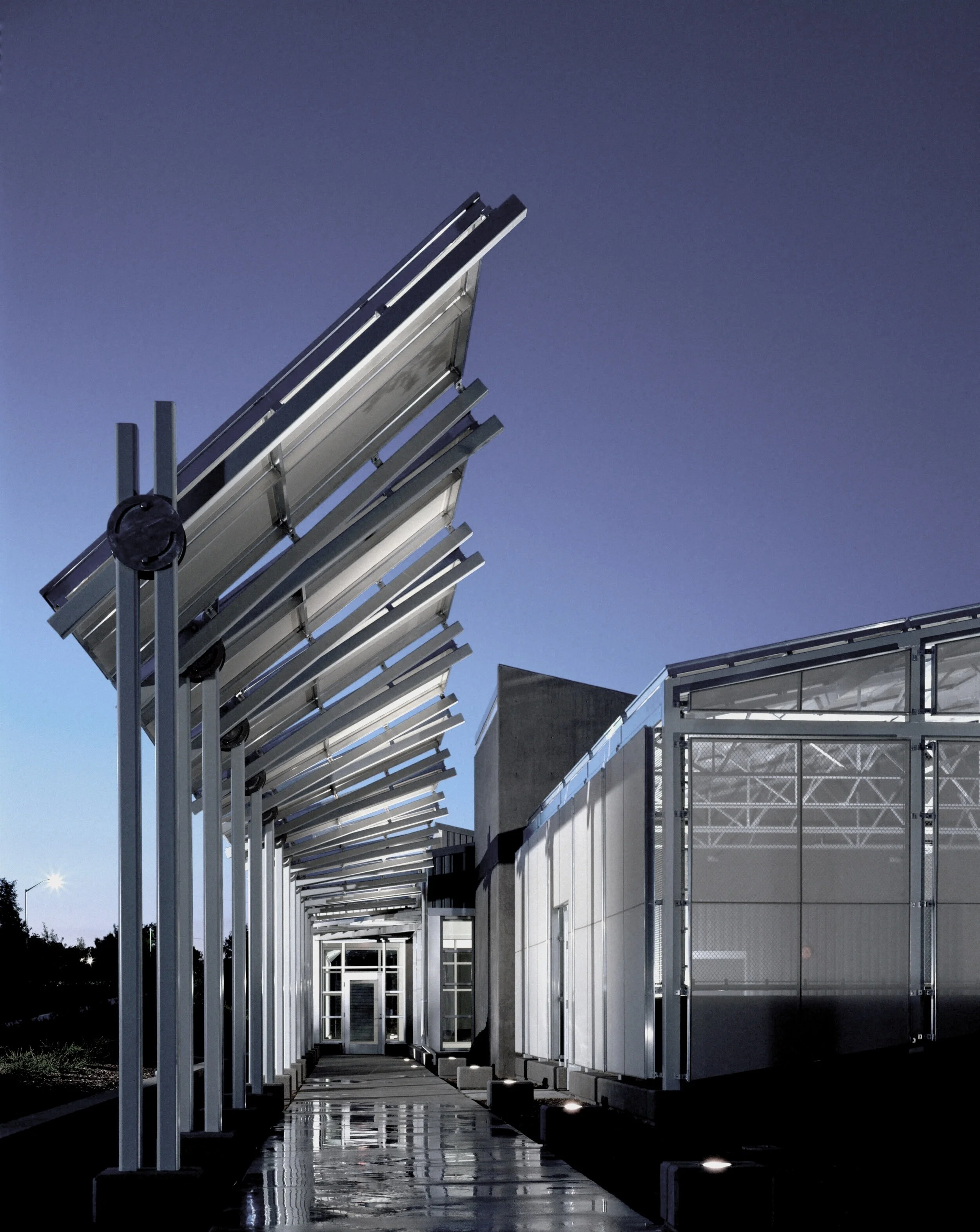 3-MF-1.jpg