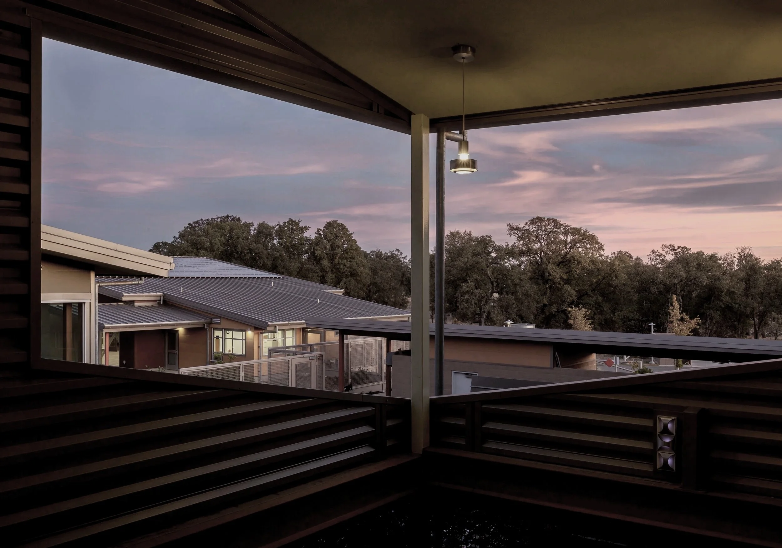 25_RSA_ramsayphotography2019.jpg